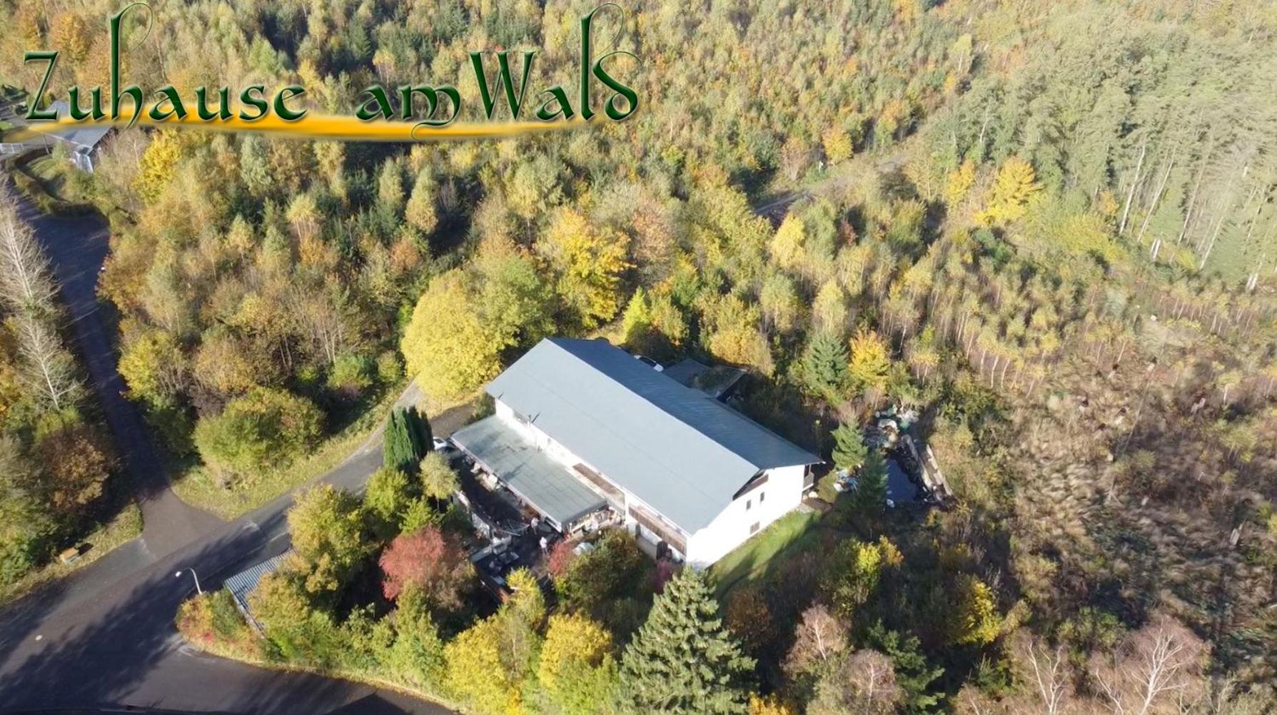 Zuhause Am Wald