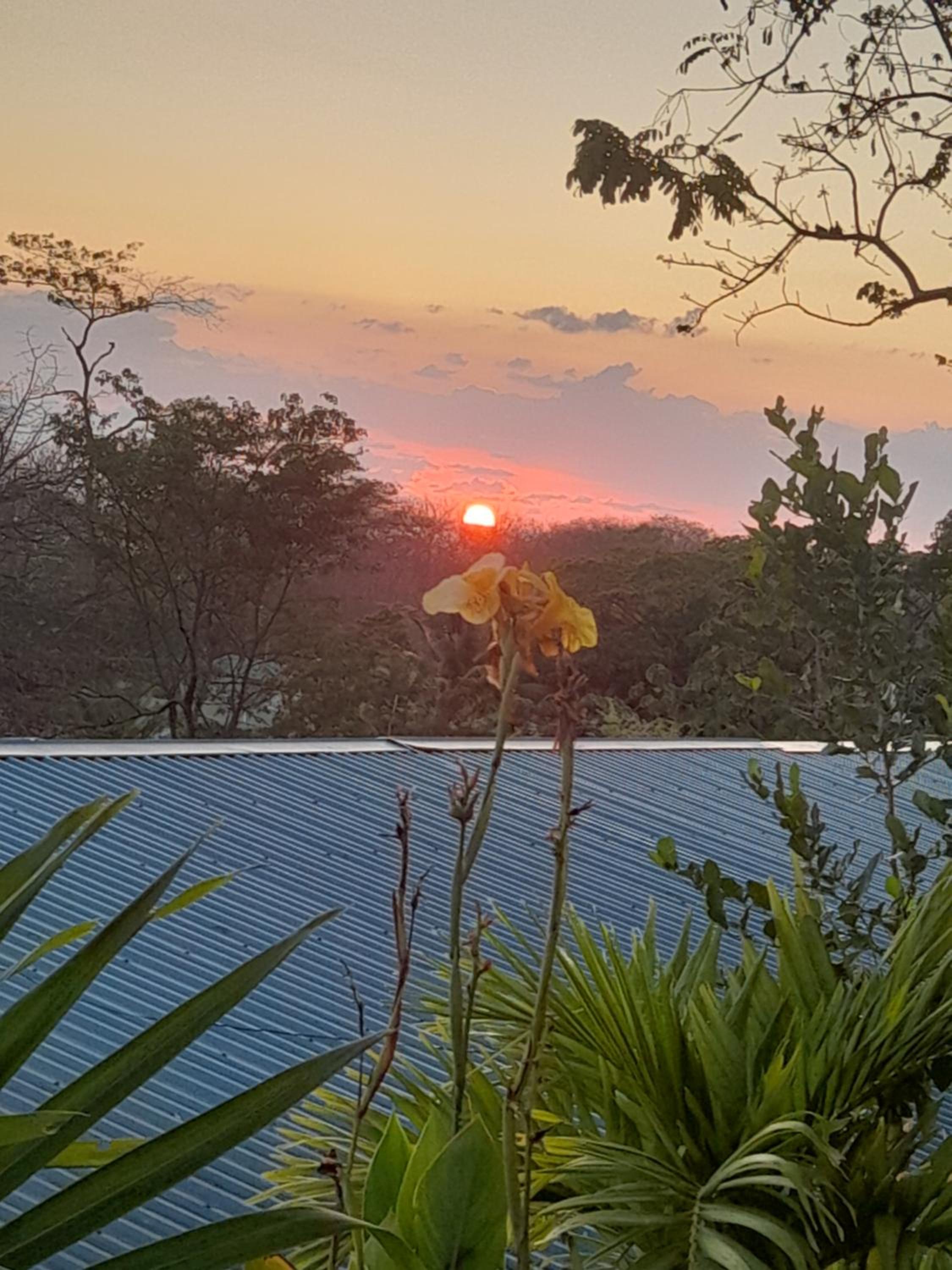 Casa Namaste del Pacifico - Luxury Villa