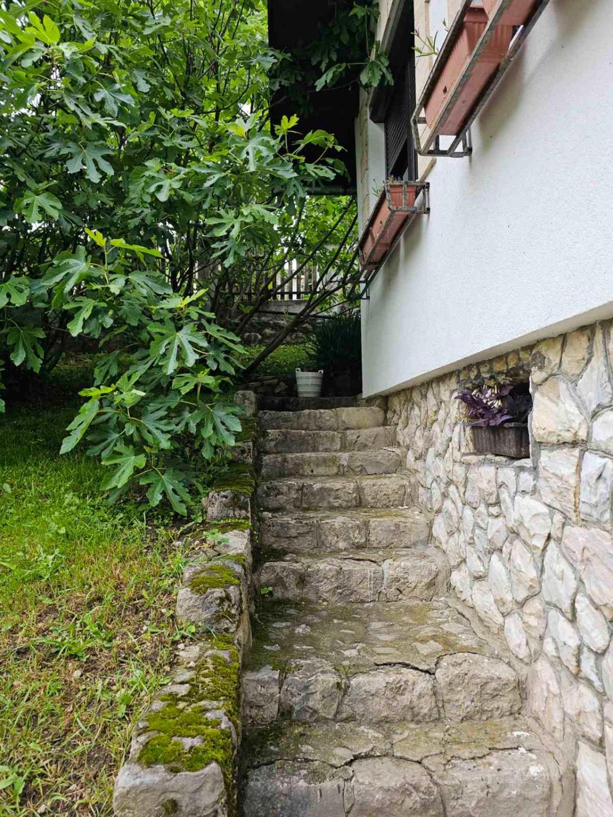 Apartman Slapovi