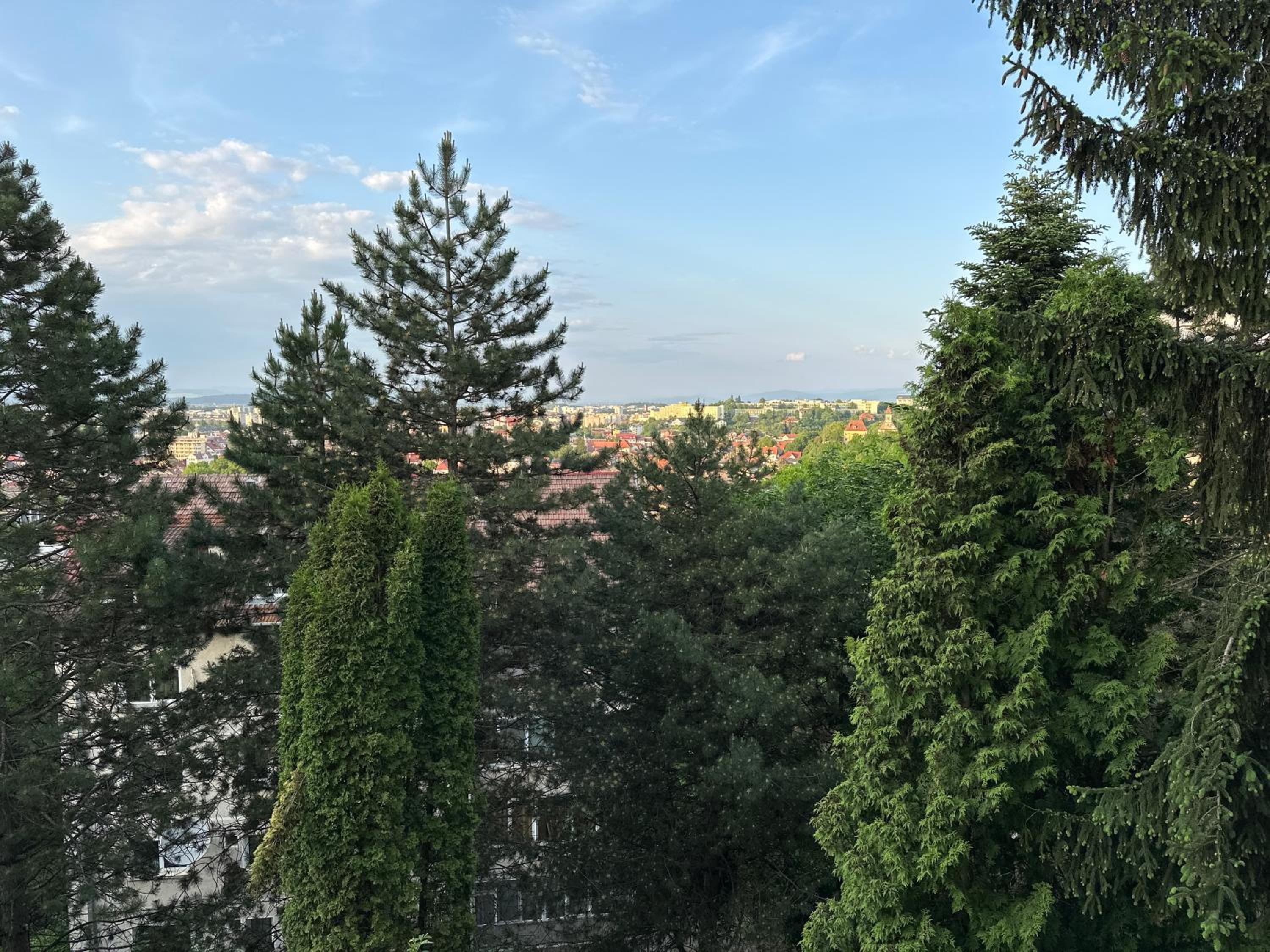 Central Luxury Apartment with City View view 4