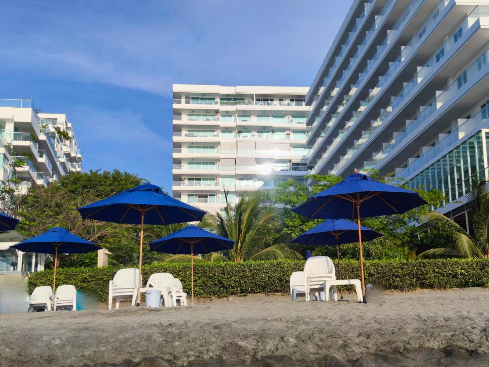 Playa Dormida 2. Hermoso apartamento frente al mar