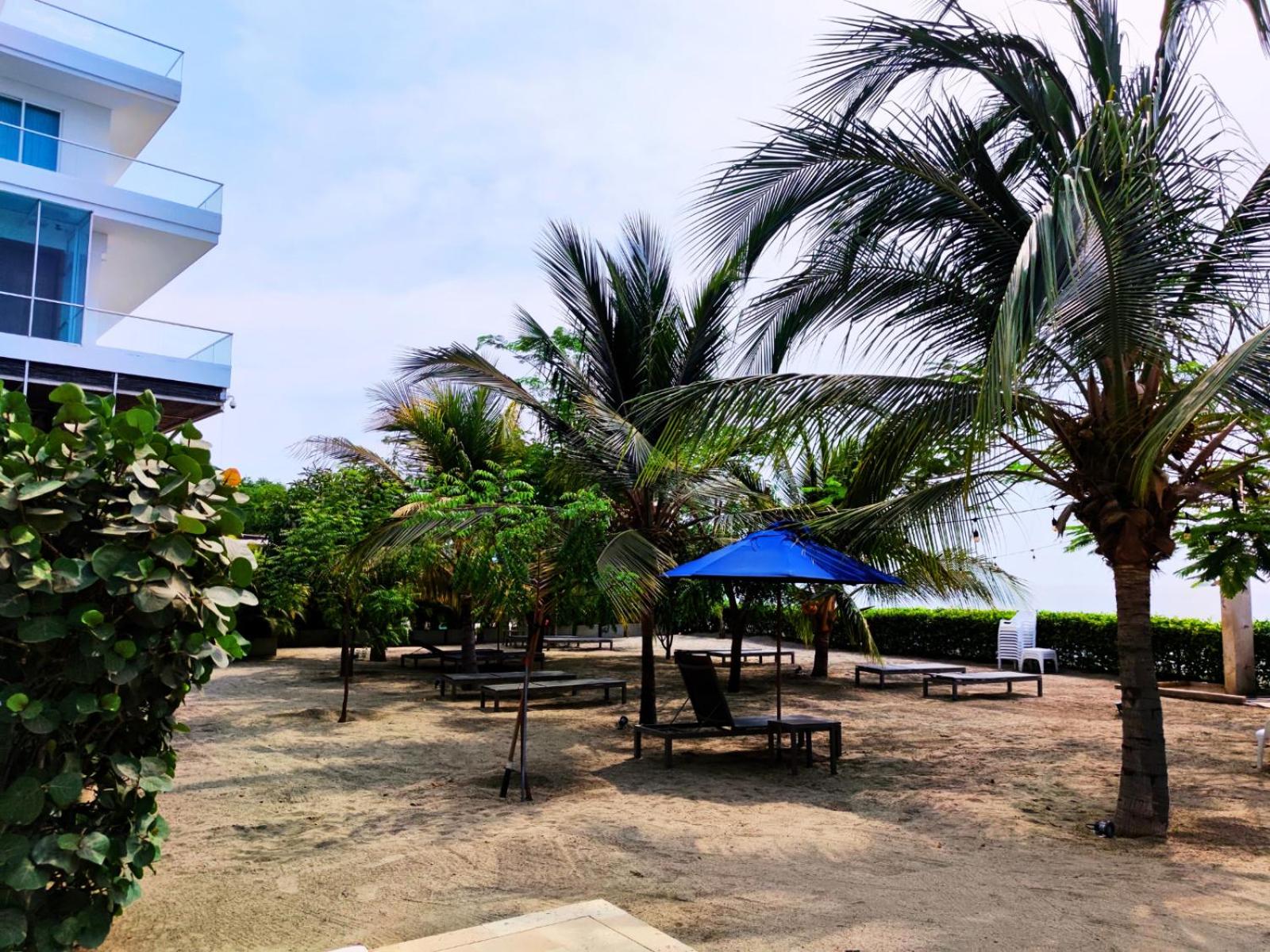 Playa Dormida 2. Hermoso apartamento frente al mar