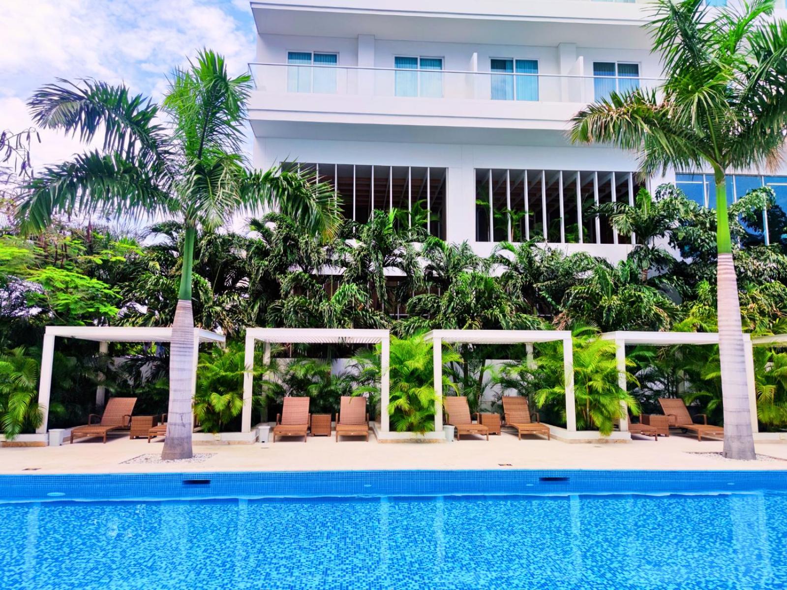 Playa Dormida 2. Hermoso apartamento frente al mar