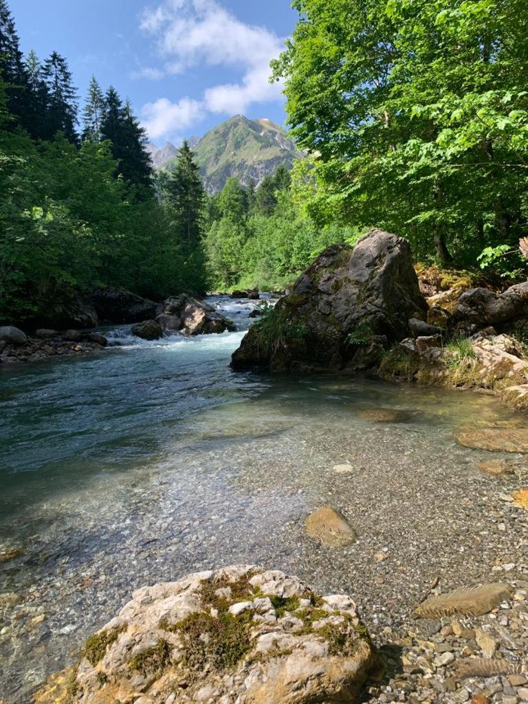 alpenHIRSCH - Ferienwohnungen