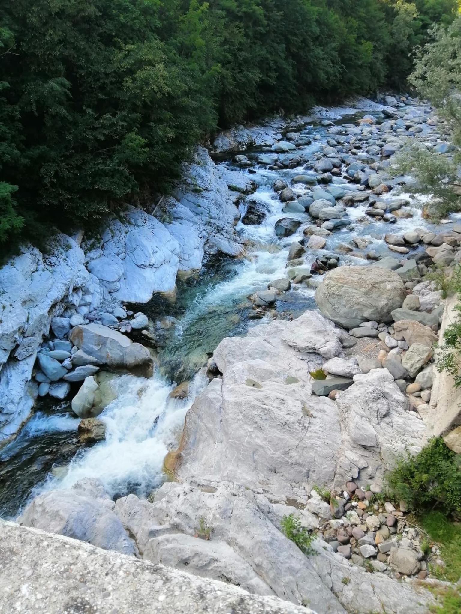 Photo 24
