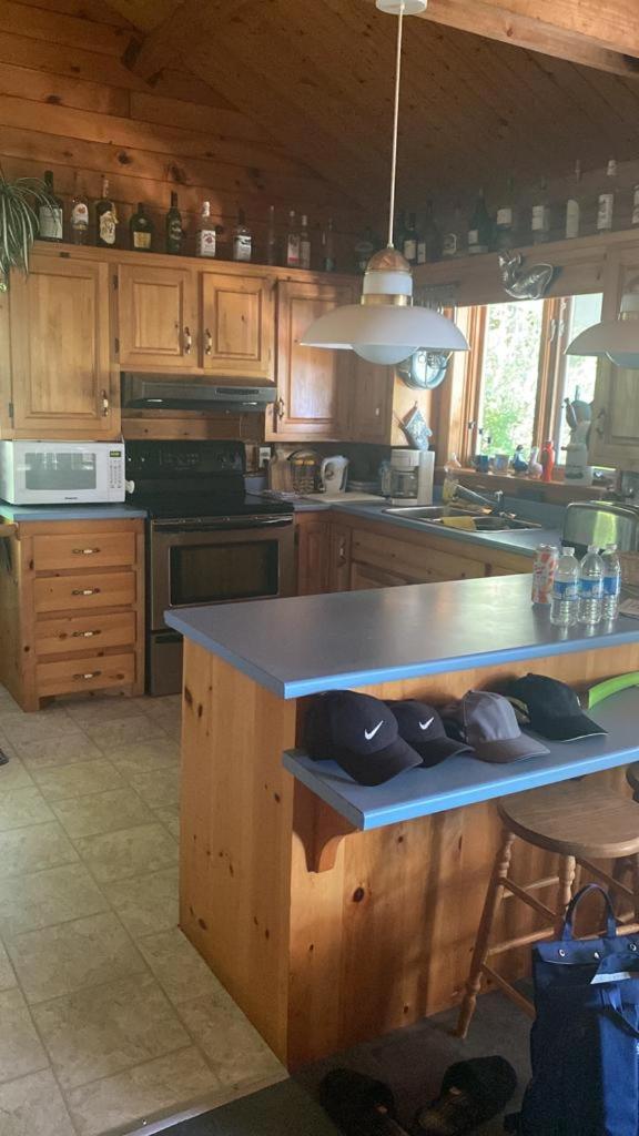 Sherbrooke Lake Cottage with Private Beach - Image 3