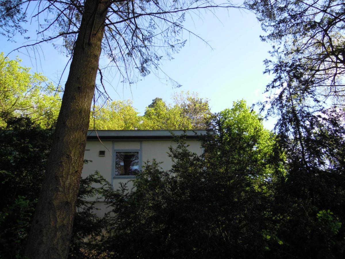 Cocoon Cottage