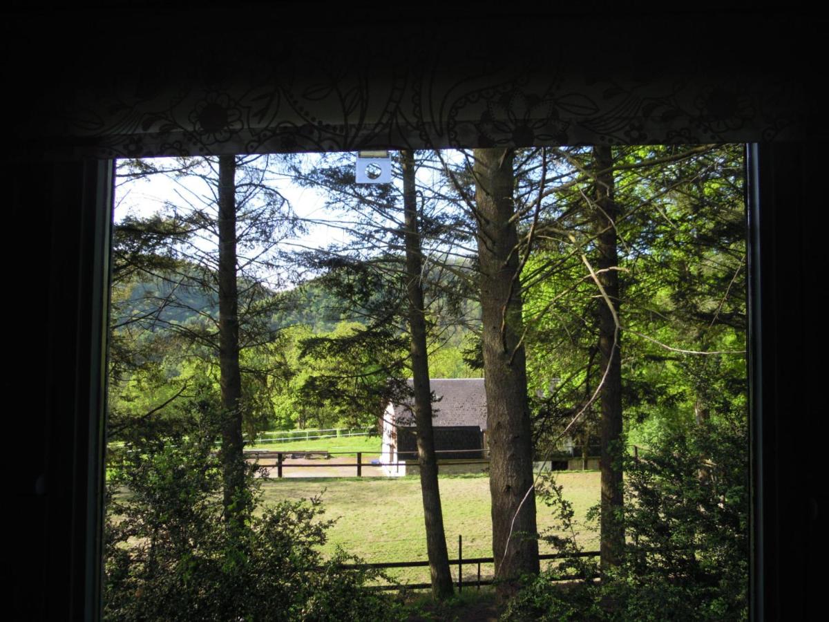 Cocoon Cottage