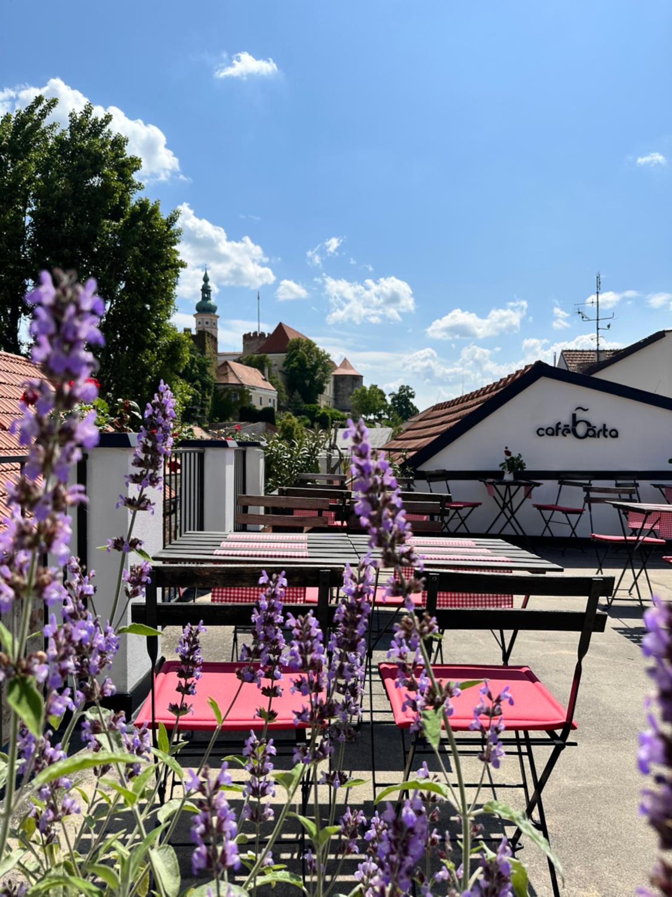 Penzion, vinný sklep a café Bárta