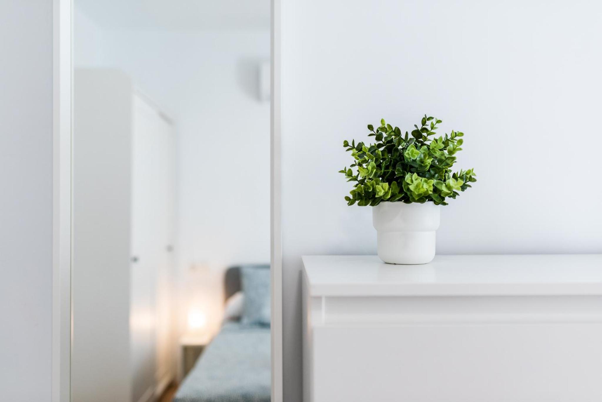 Apartamento junto a Plaza Toros y Hospitales con Parking Gratis
