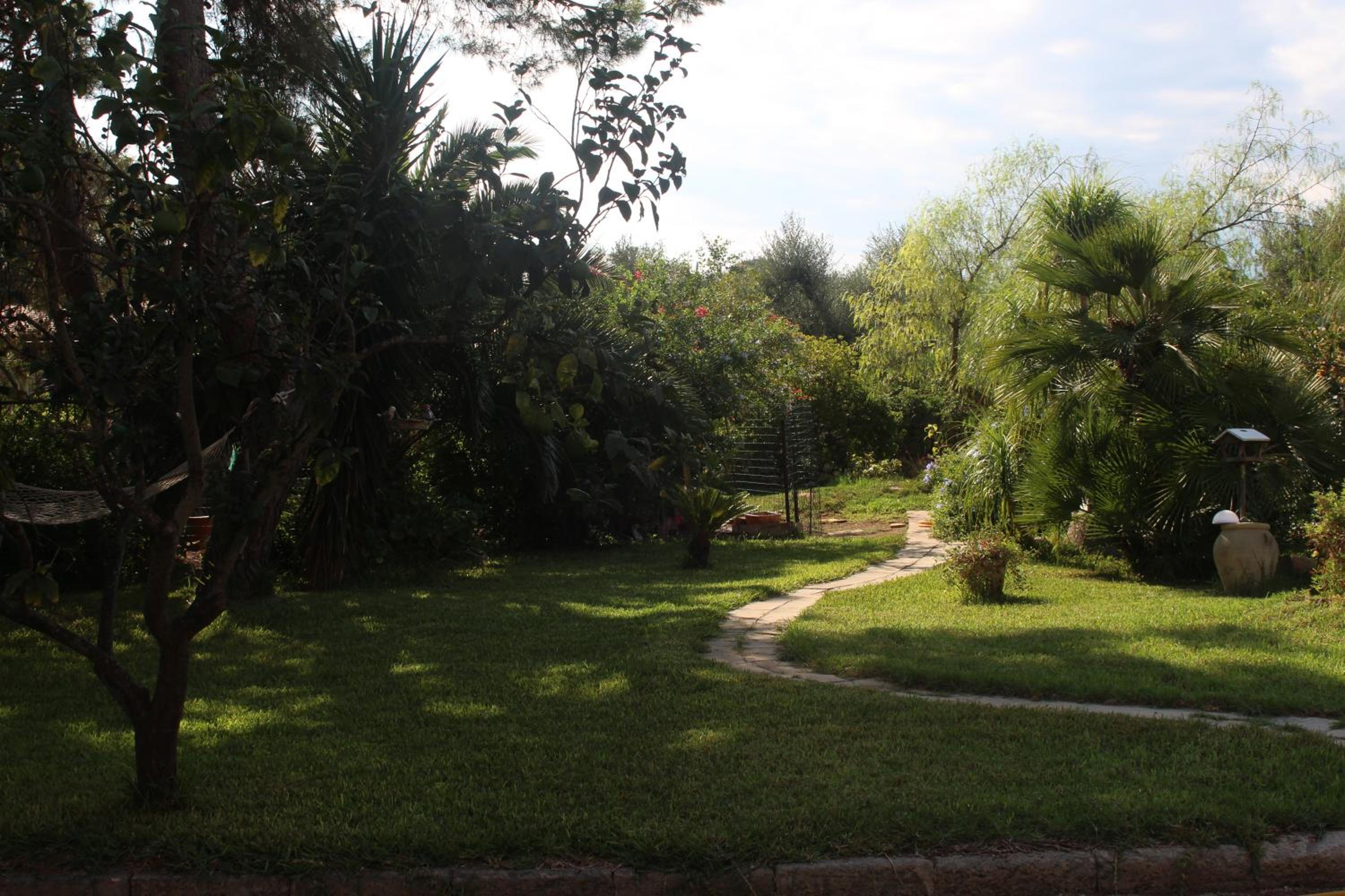 Photo 17