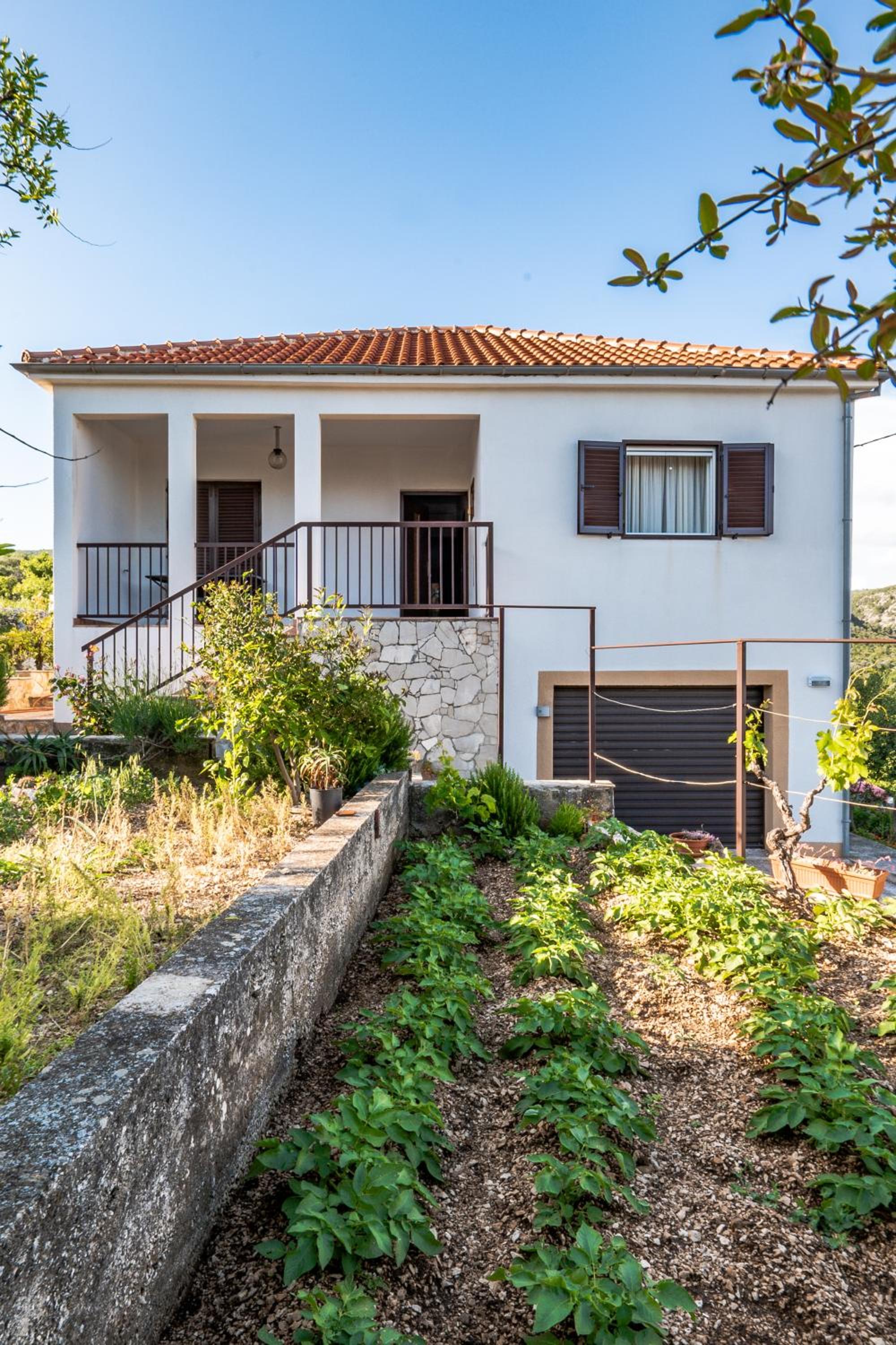 Family house Rossetti