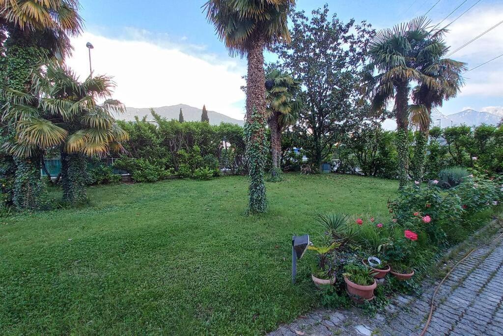 Casa Bonomi view 5