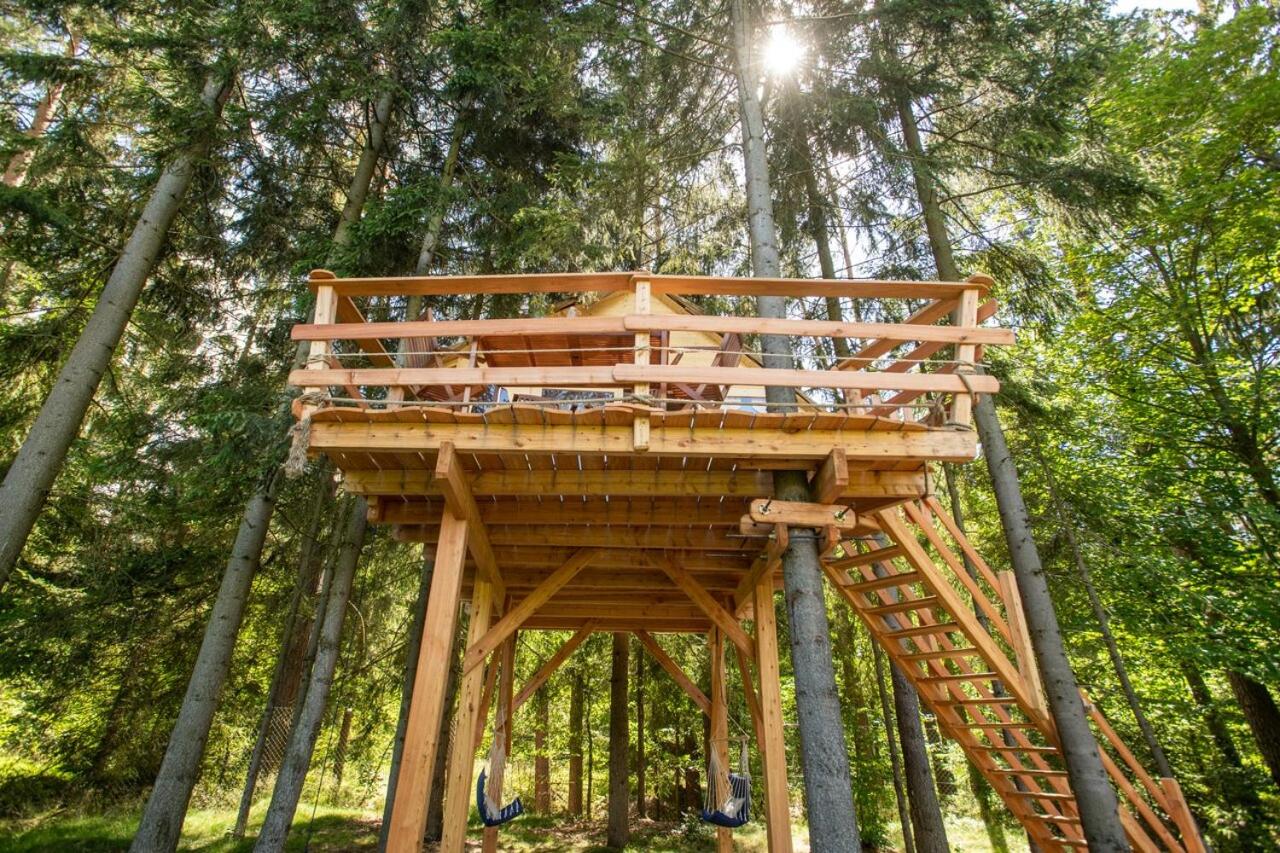 Treehouse U lesa