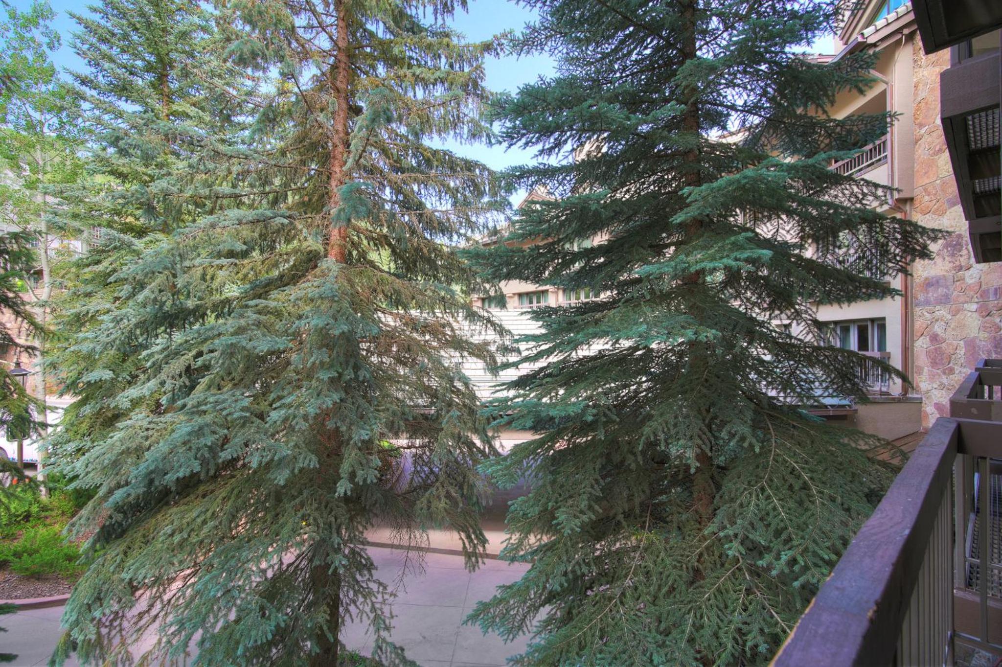 The Pines Lodge, a RockResort - Property Image 174