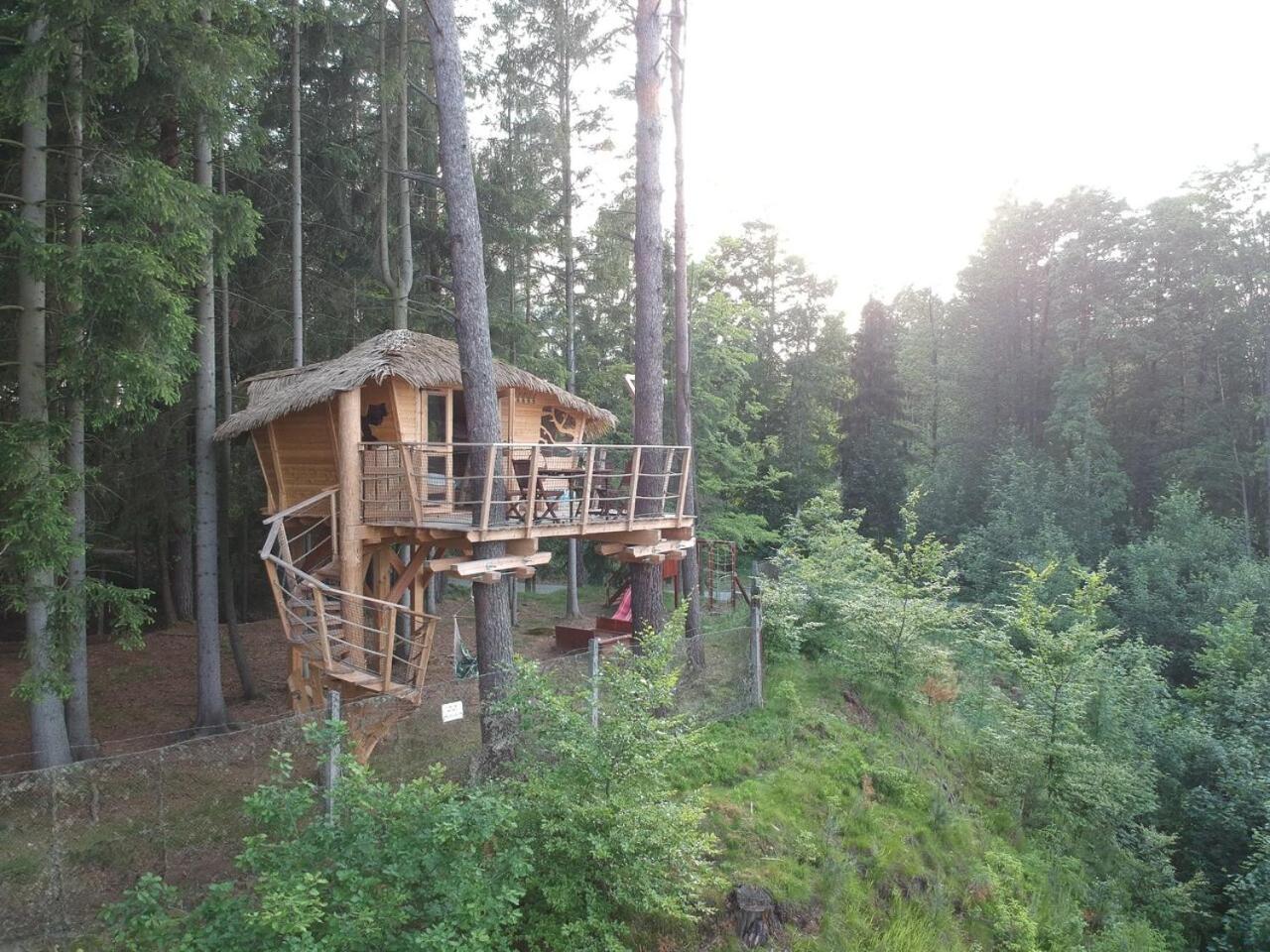 Treehouse U rybníka