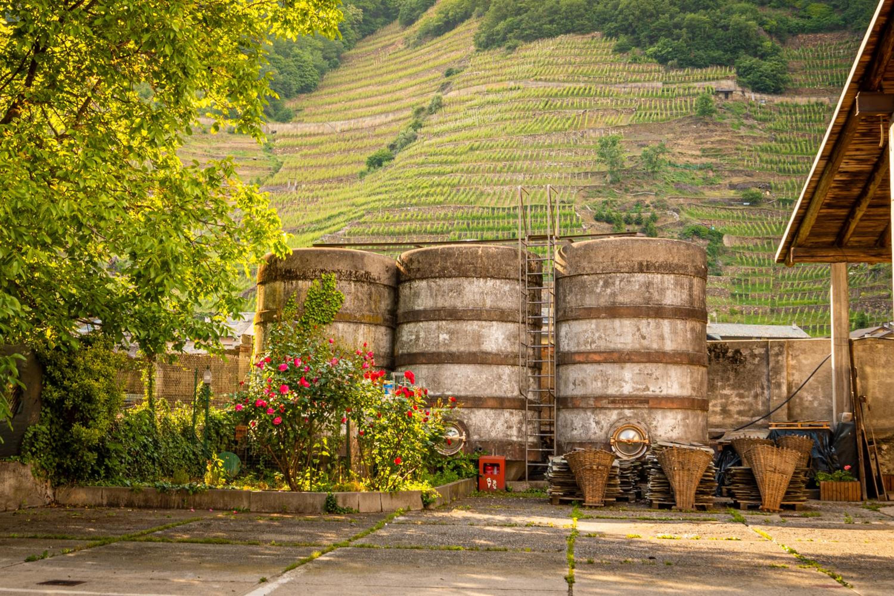 Dimora Perla di Villa - Spacious Wine Estate Retreat near Bernina Express view 5