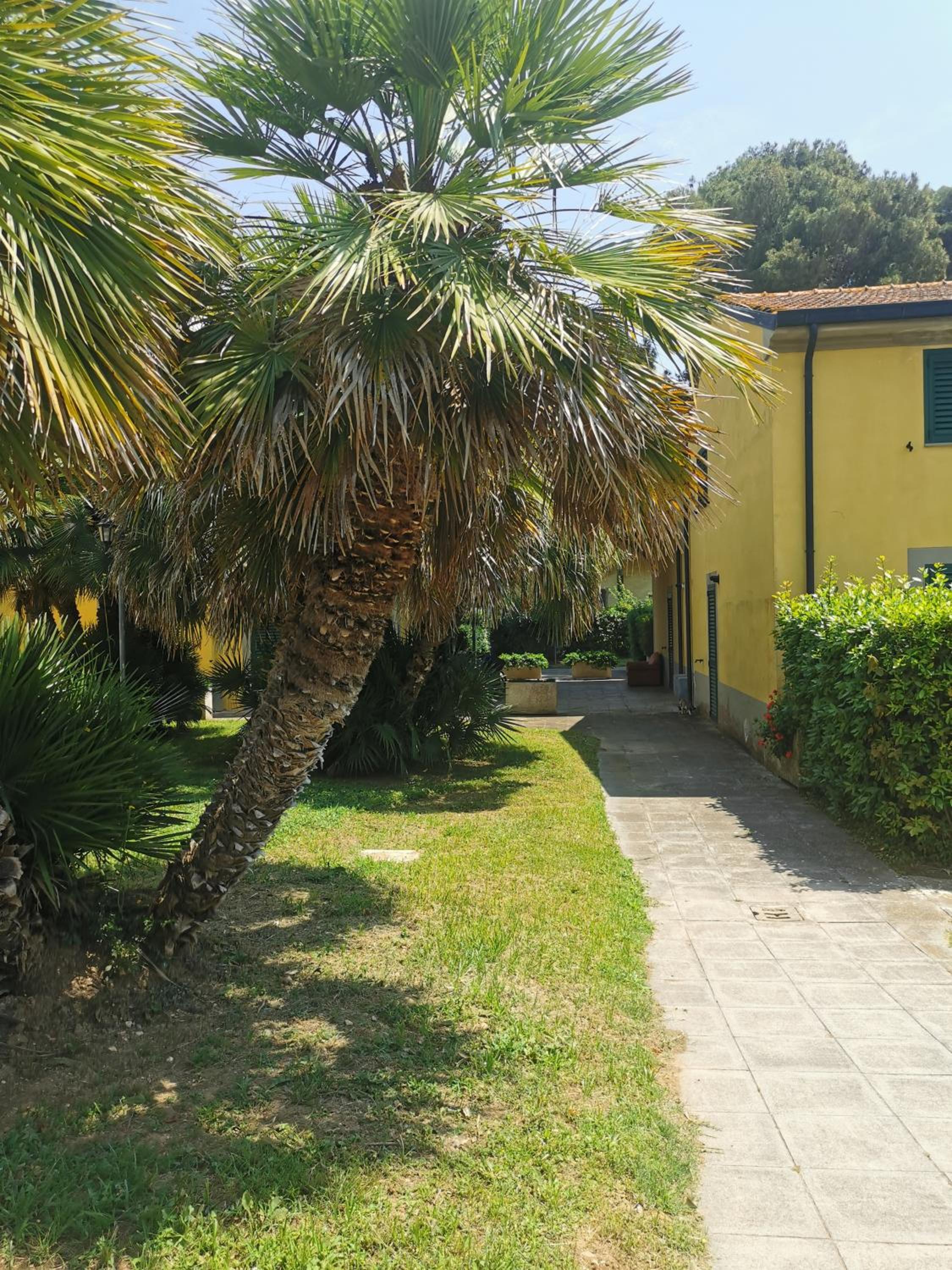 Casa al mare con giardino "Garden House", 2 km spiaggia golfo di Baratti & parco archeologico view 3