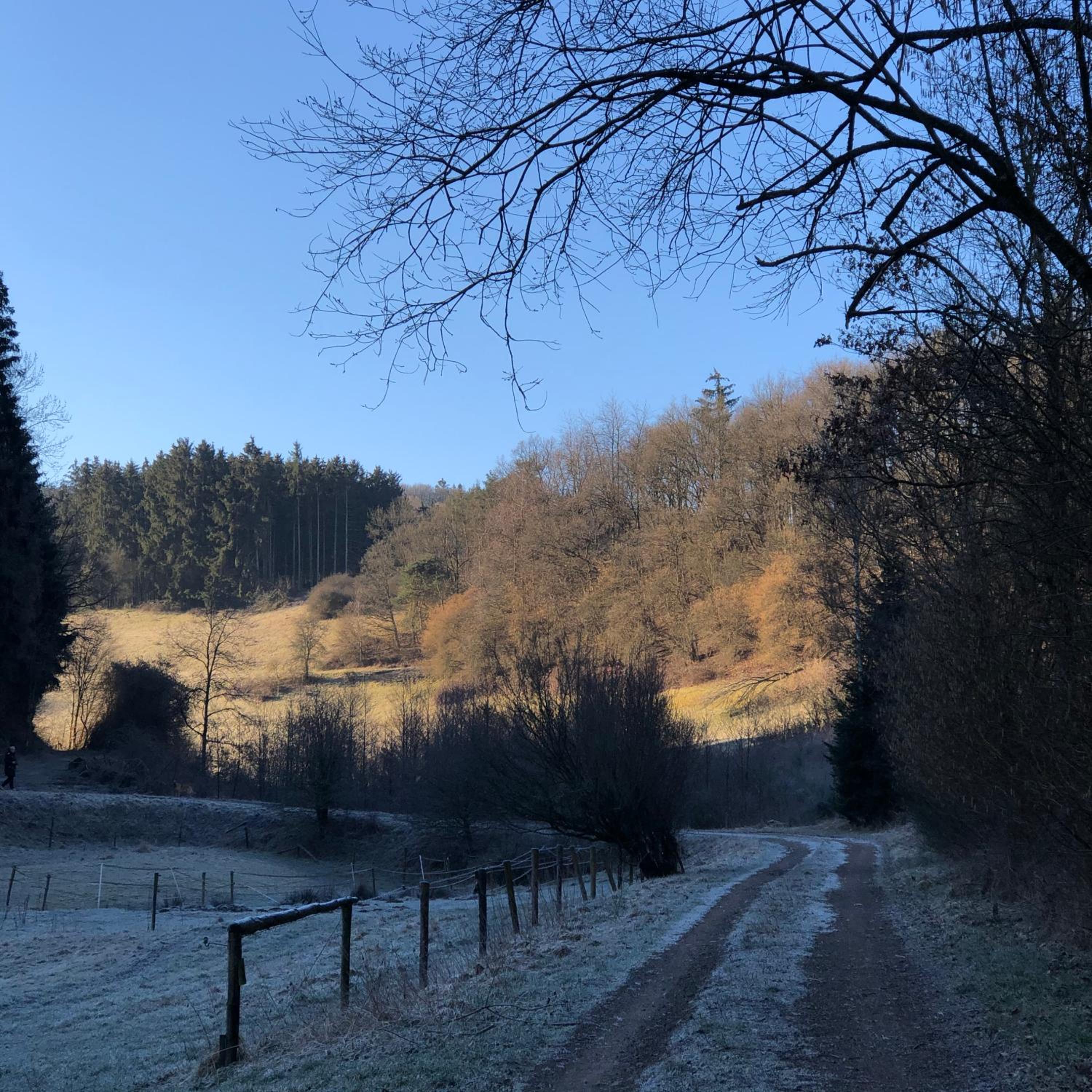 Ferienhaus Waldbaden im Nationalpark Eifel- am Bach