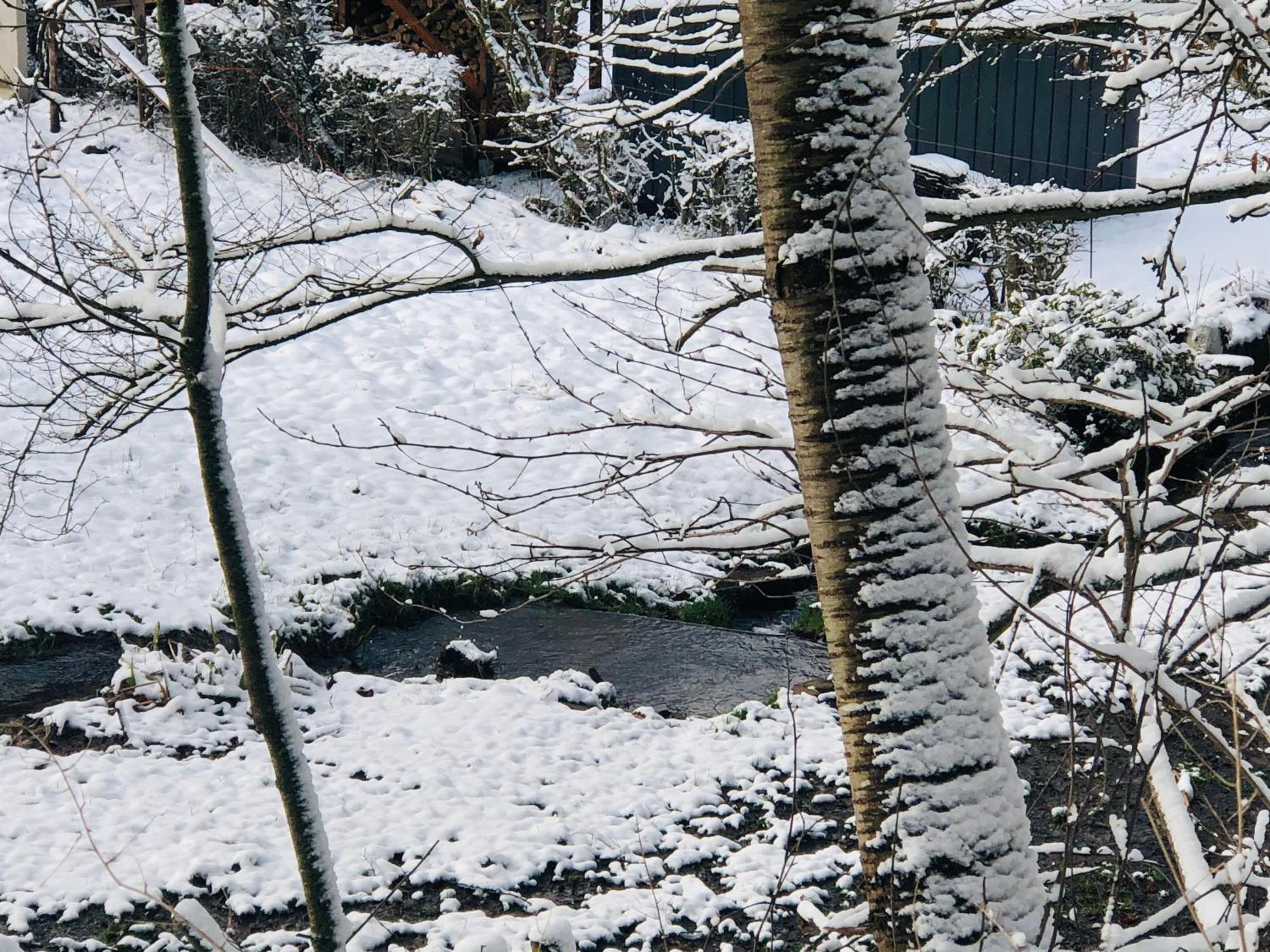 Ferienhaus Waldbaden im Nationalpark Eifel- am Bach