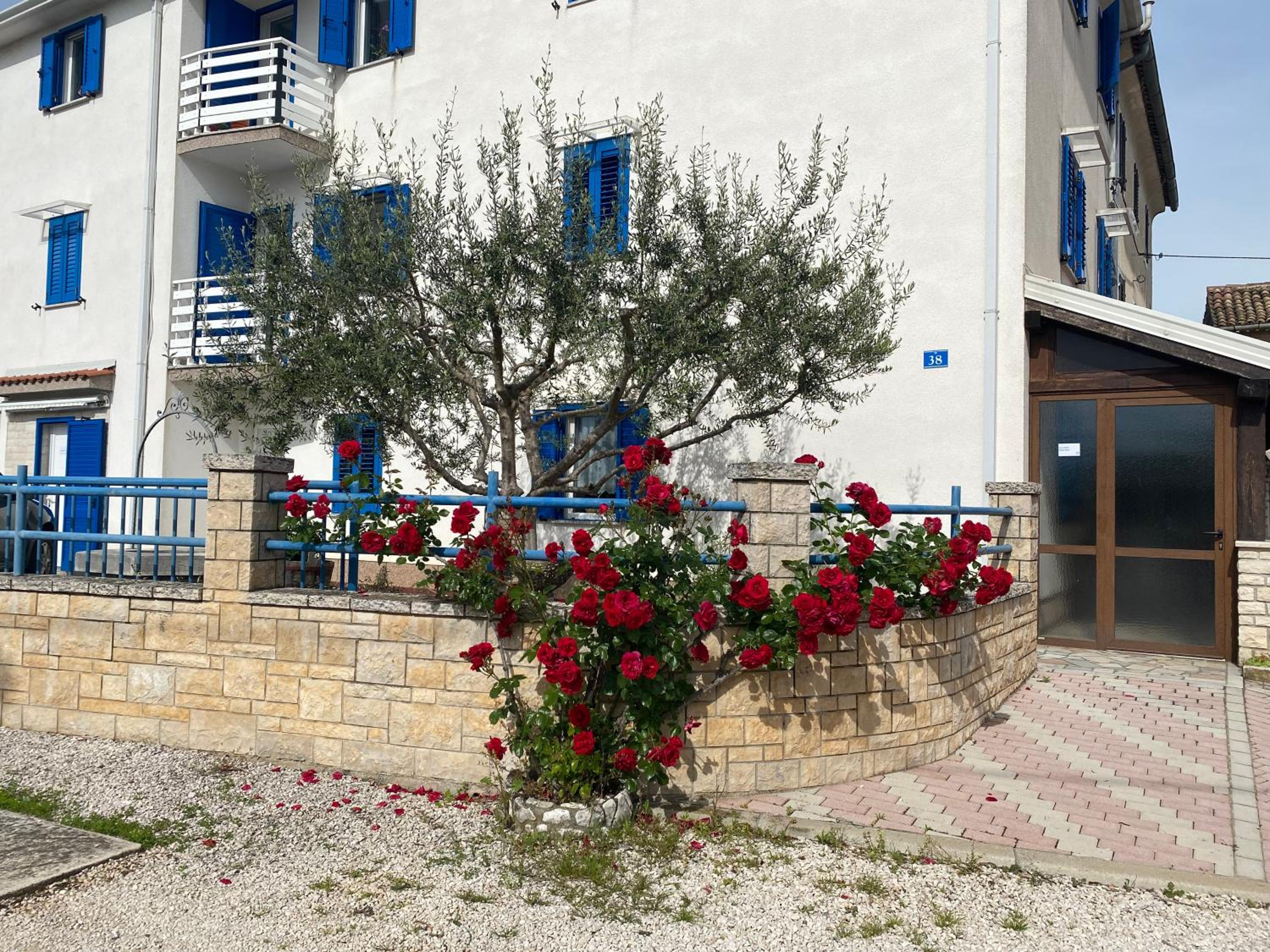 Olive Tree Apartments