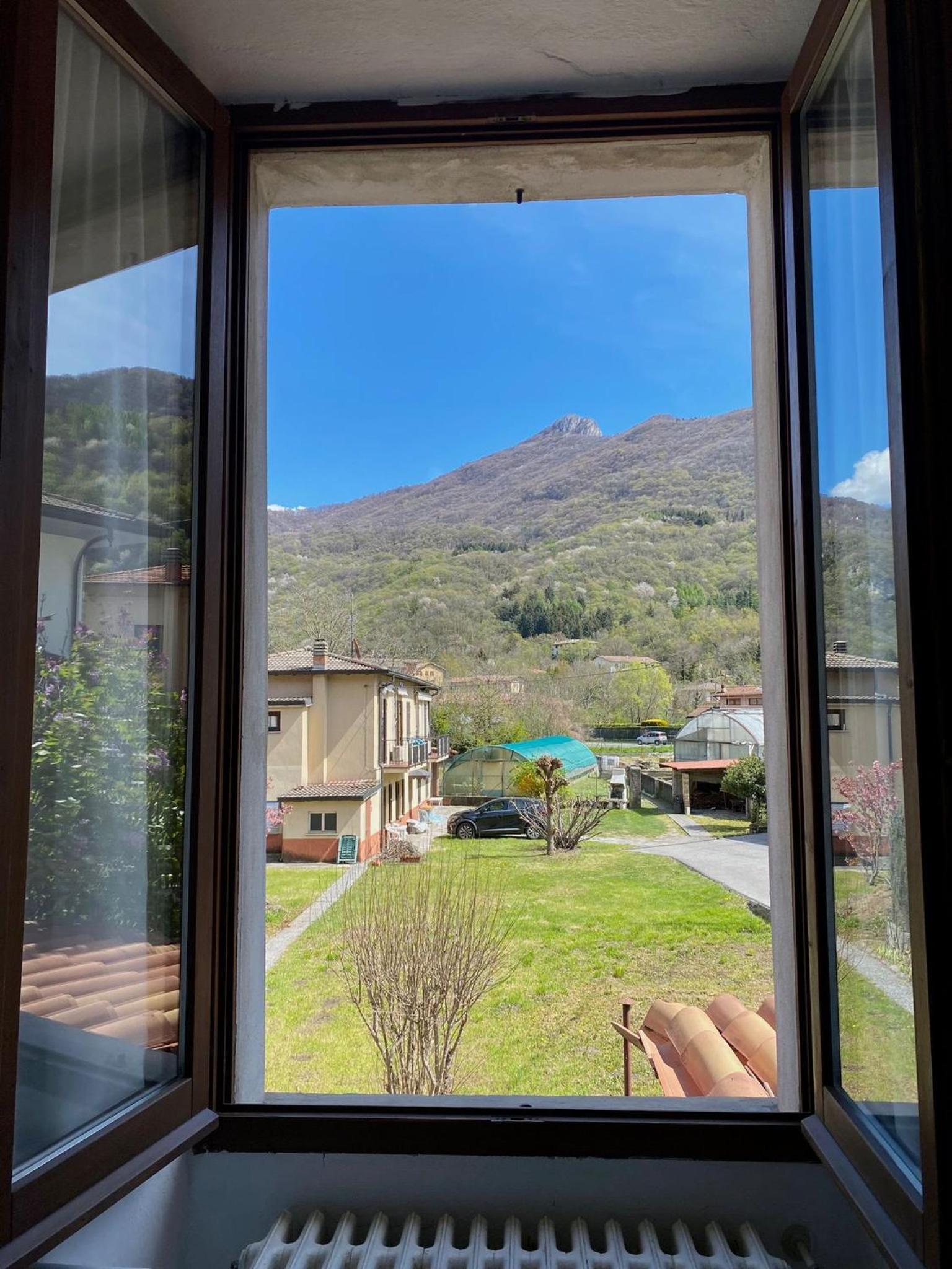 Green & Blue House photo 2