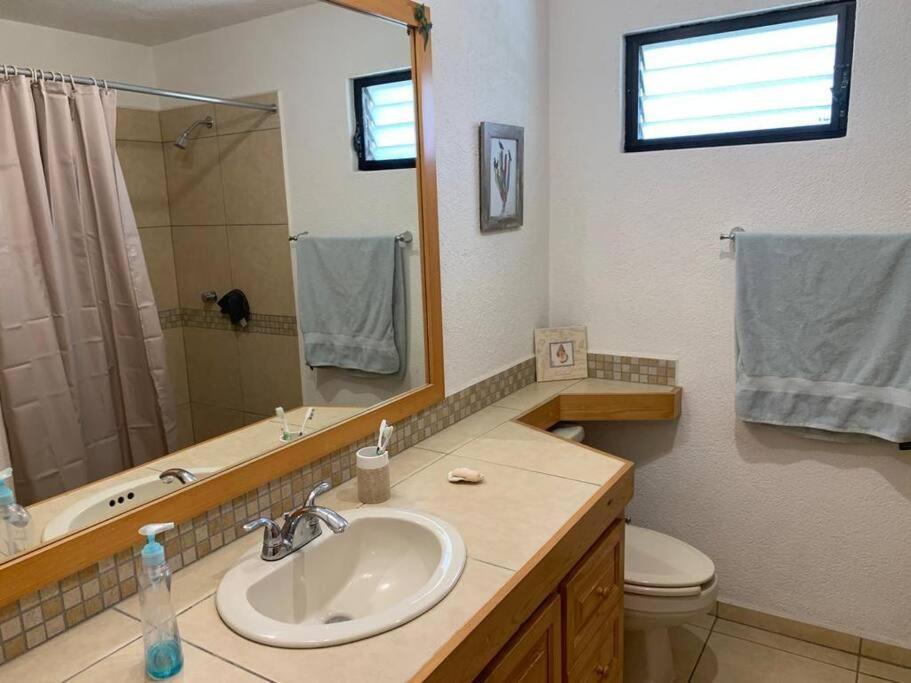 2Bdr Hidden Gem Condo w/ Pool view 5