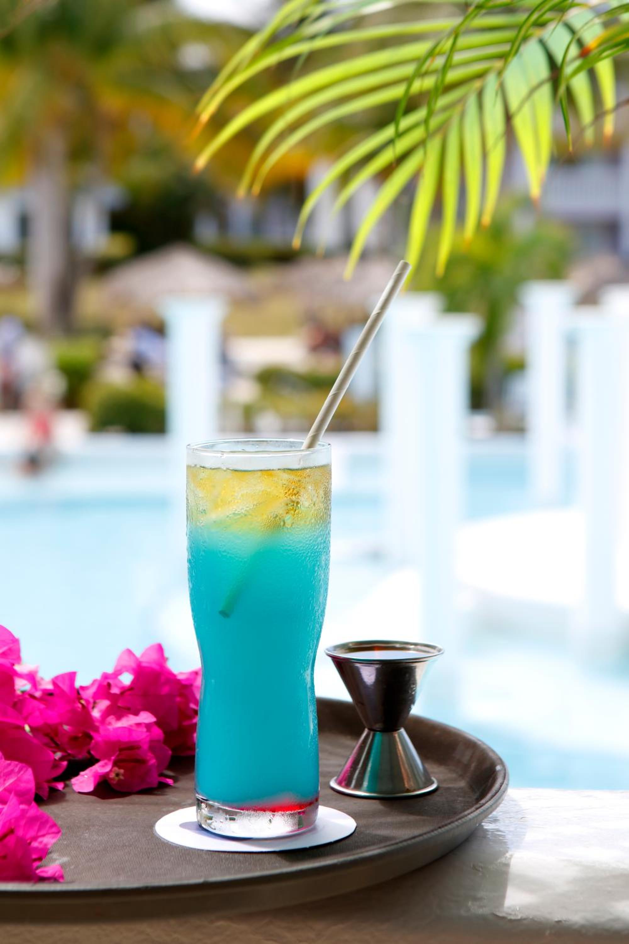 Grand Palladium Jamaica Resort & Spa All Inclusive - Photo 161