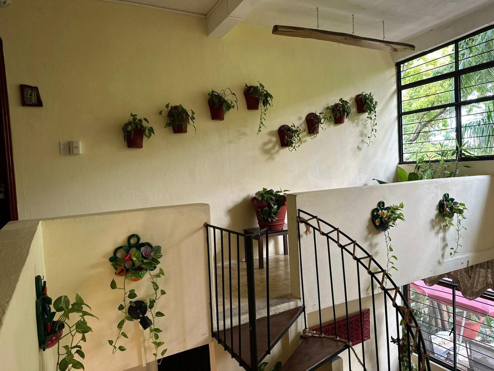 Palenque Vacations - Casa Hadassa La Canada - Property Image 61