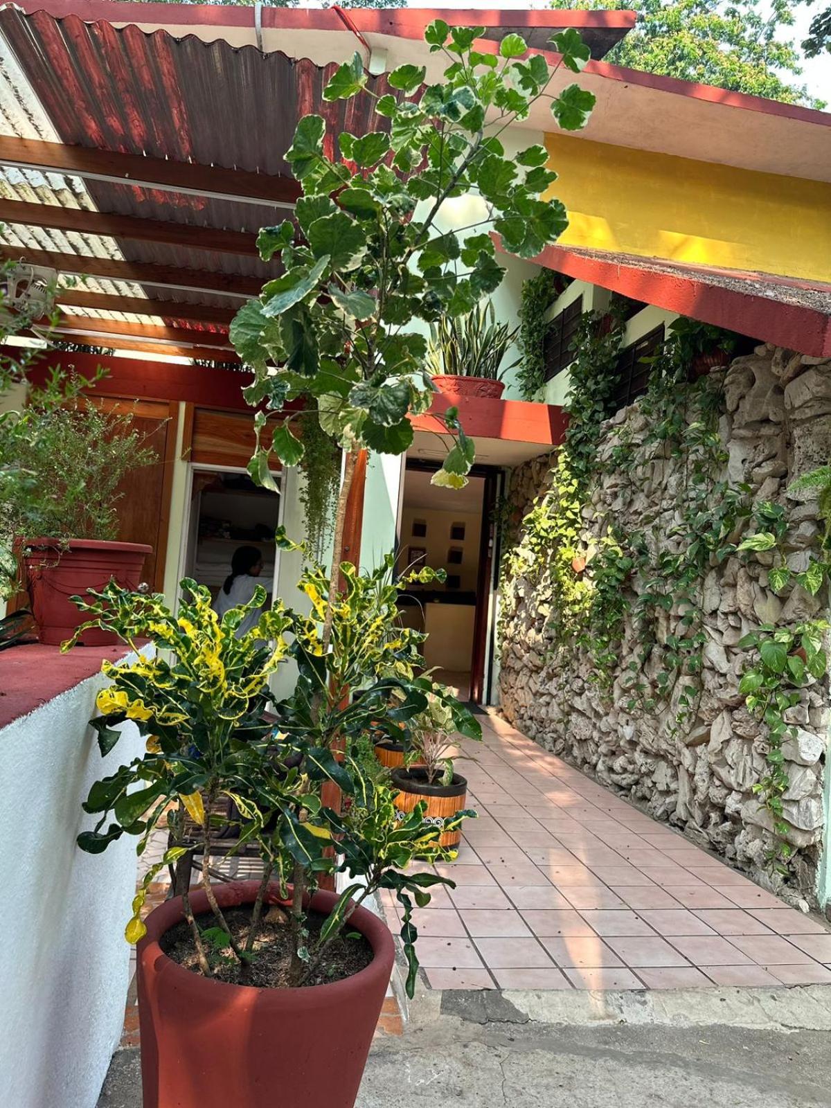 Palenque Vacations - Casa Hadassa La Canada - Property Image 12
