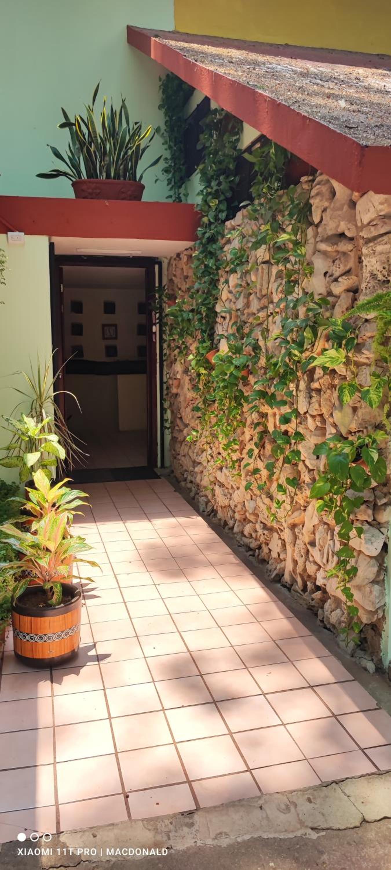 Palenque Vacations - Casa Hadassa La Canada - Property Image 13