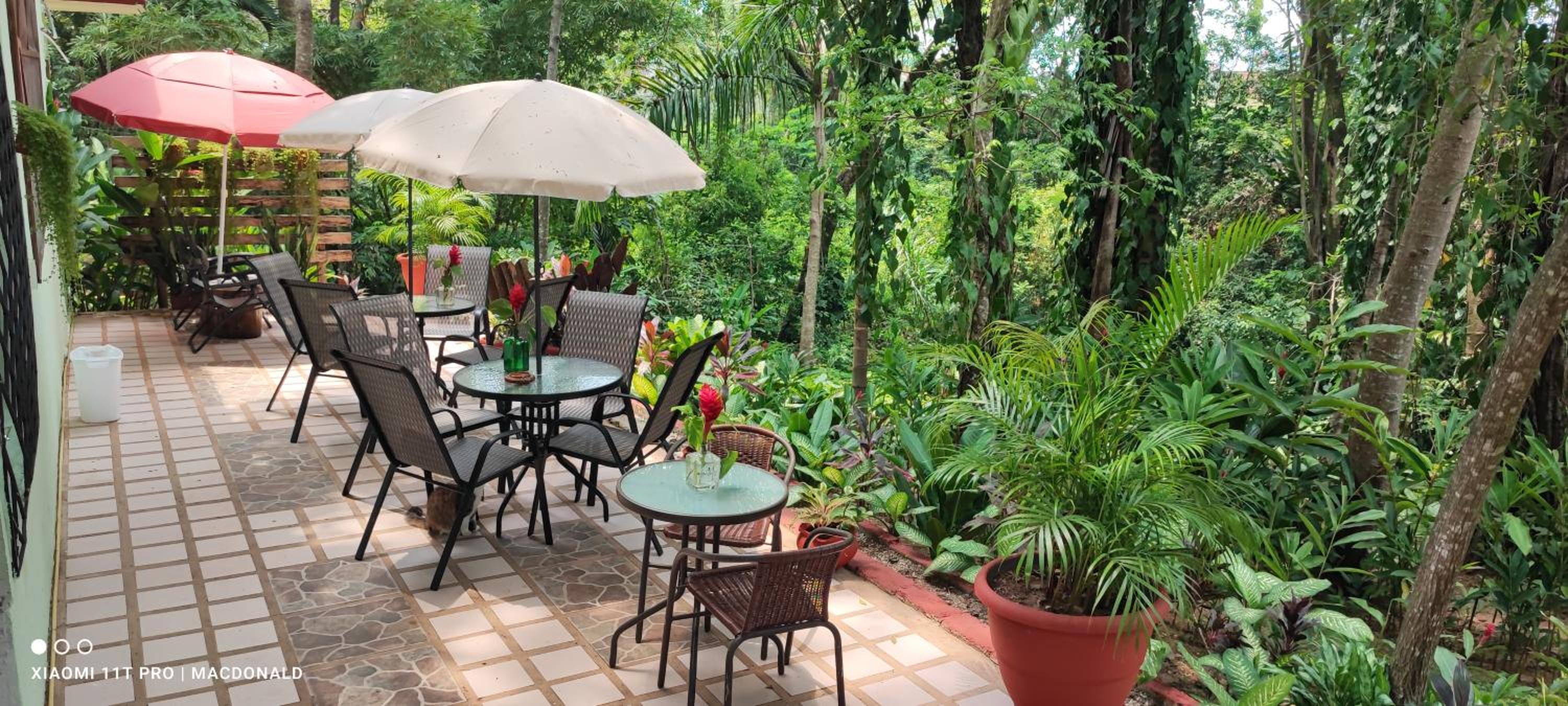 Palenque Vacations - Casa Hadassa La Canada - Property Image 90