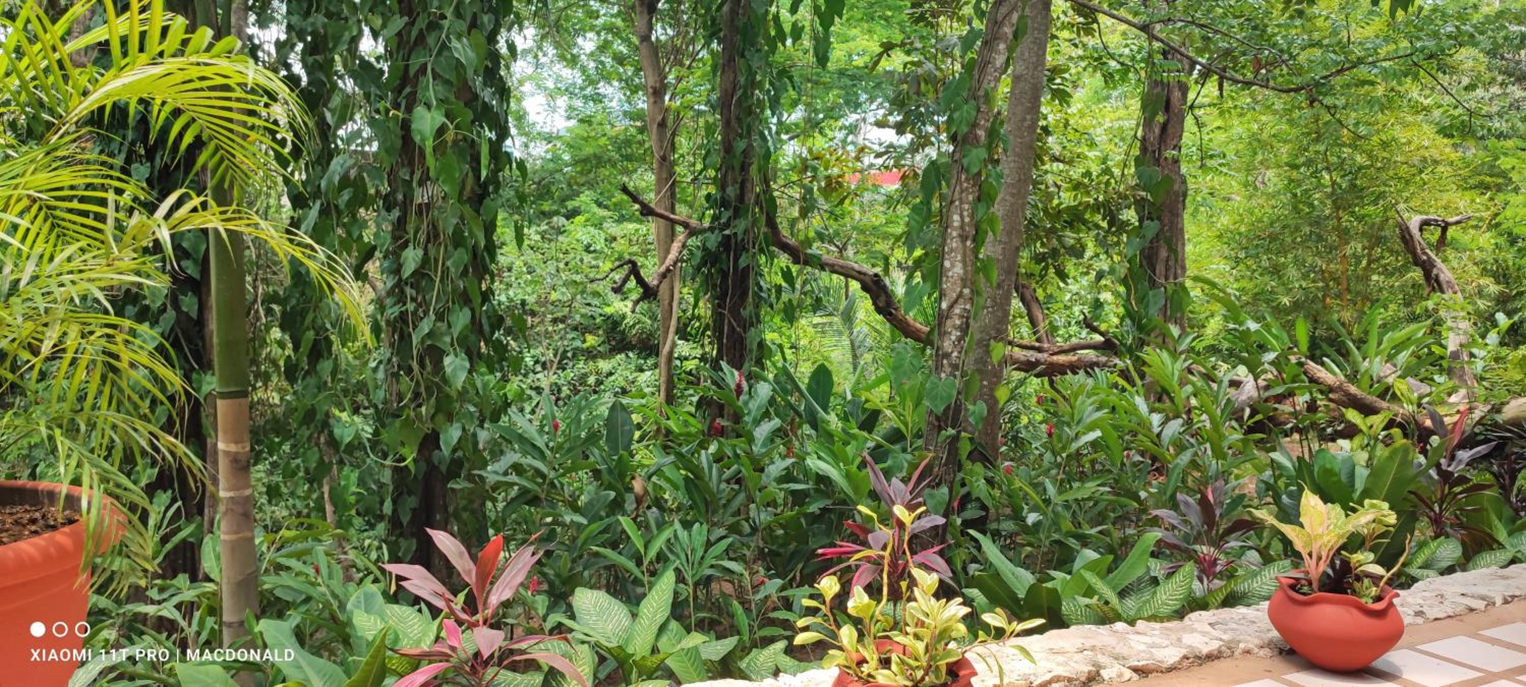 Palenque Vacations - Casa Hadassa La Canada - Property Image 99