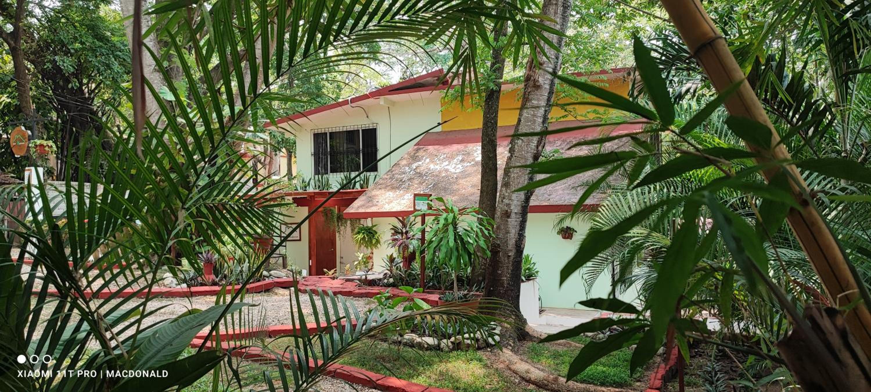 Palenque Vacations - Casa Hadassa La Canada - Property Image 50