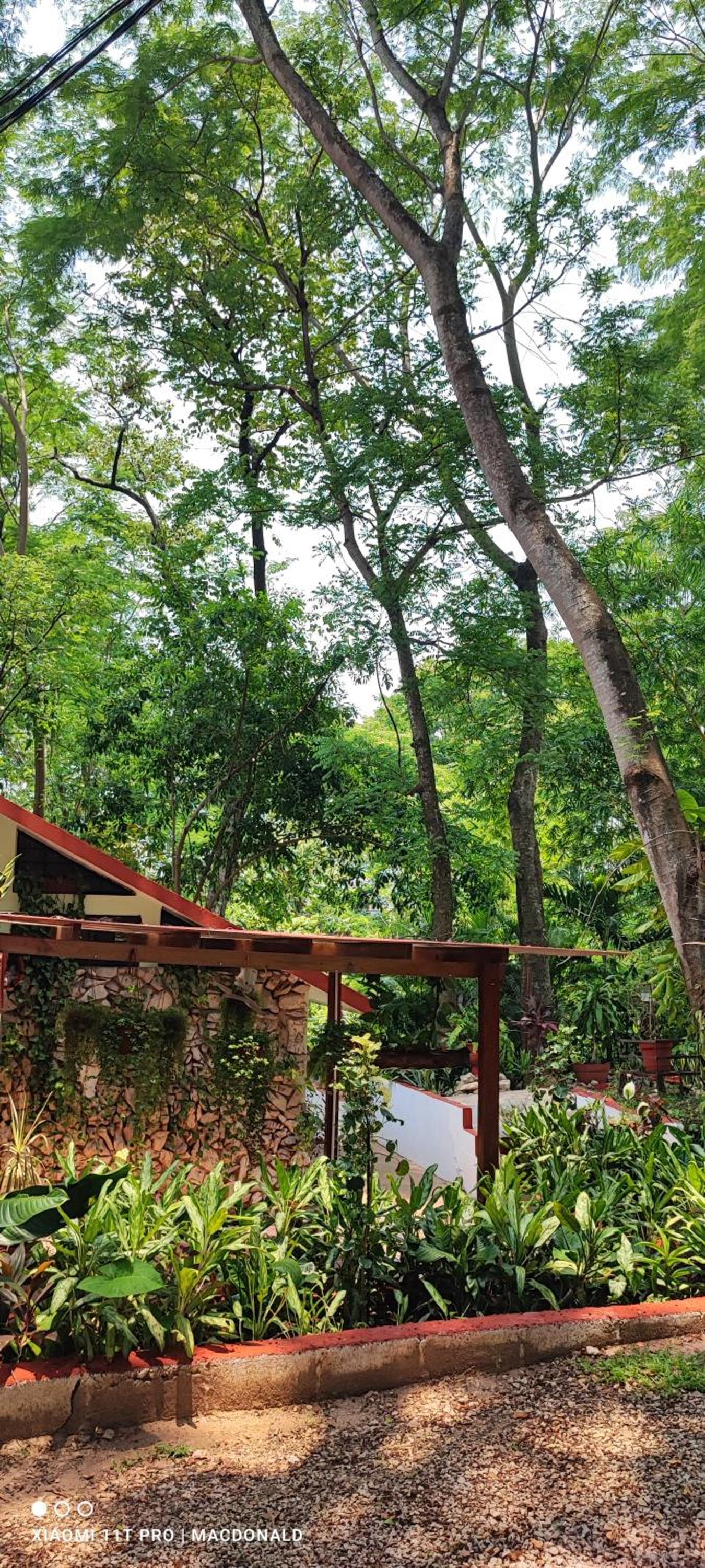 Palenque Vacations - Casa Hadassa La Canada - Property Image 1