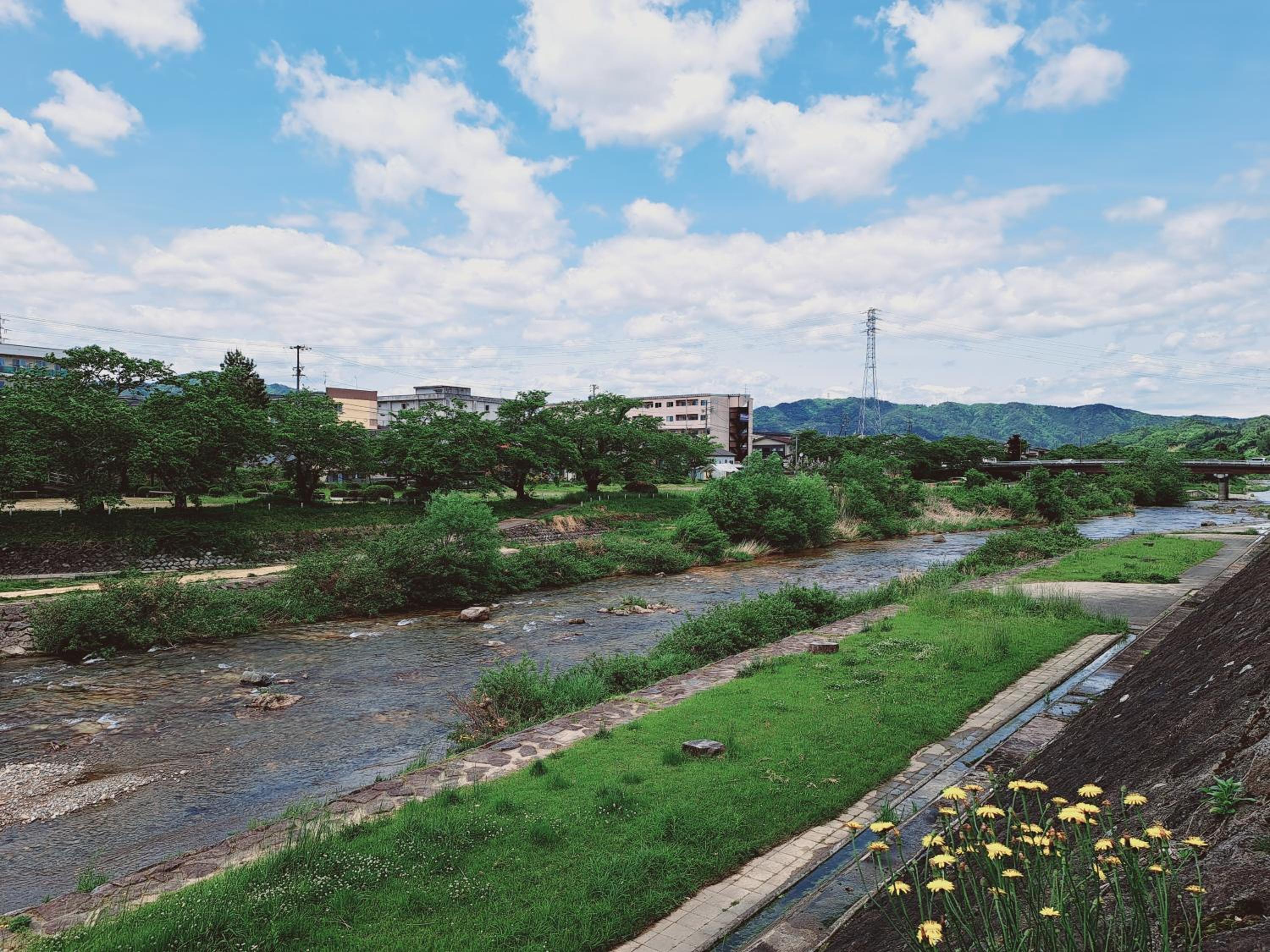 Green House view 5