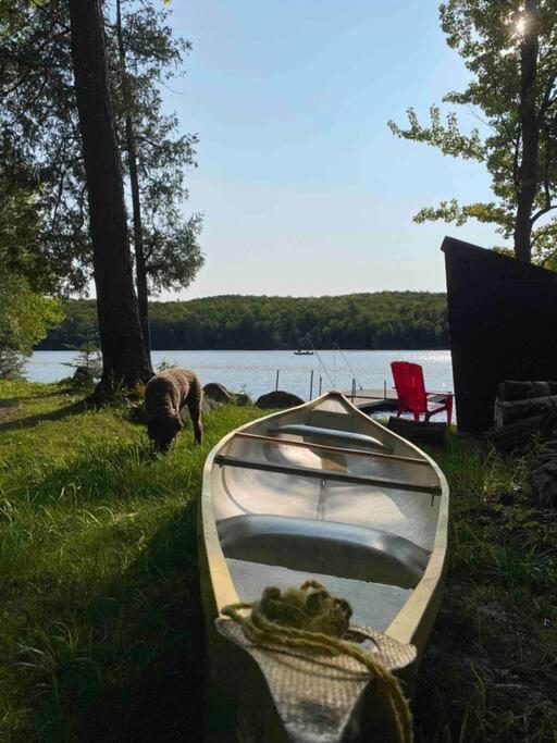 Dawson Loop Inn 3BR Lakefront Chalet Style Cottage