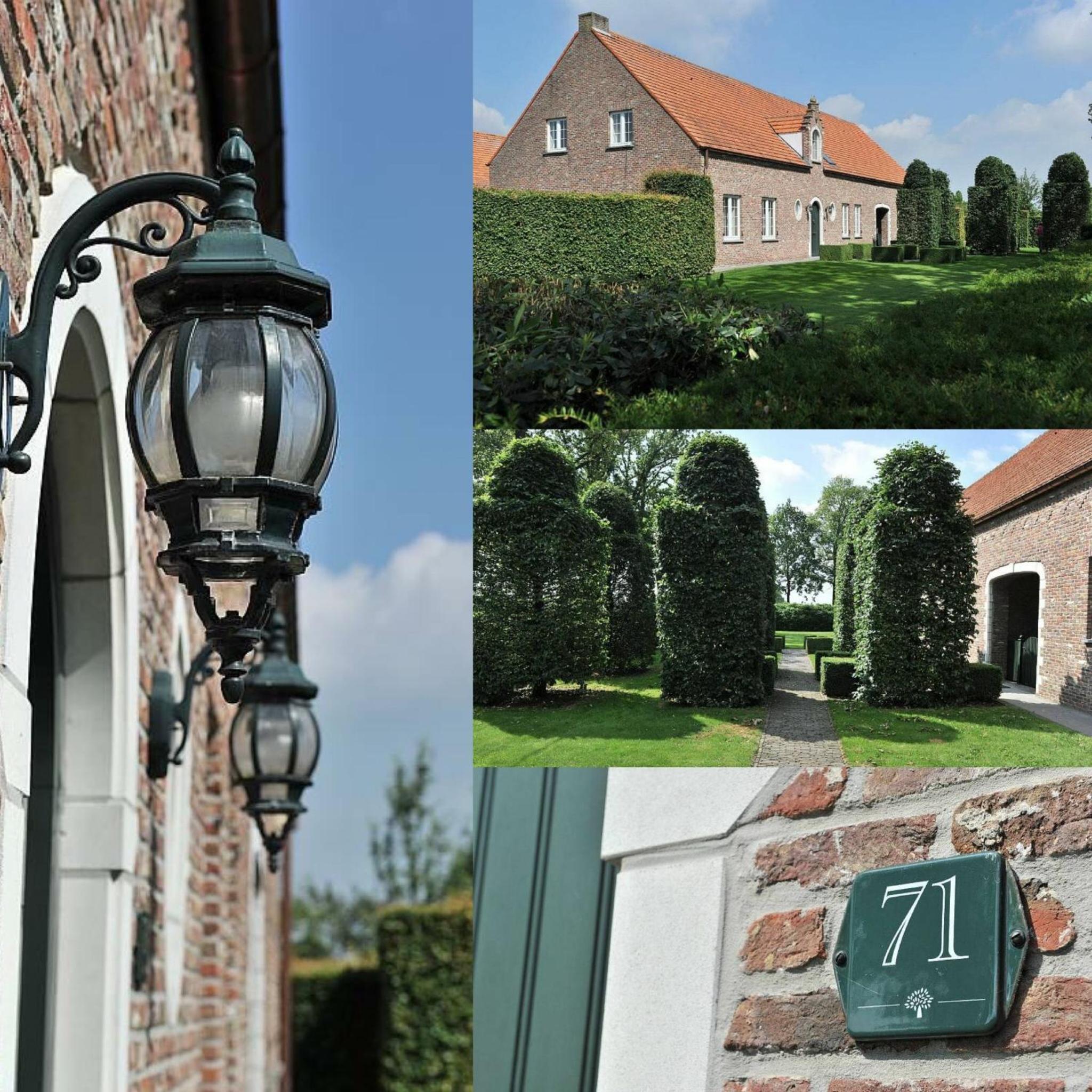 Villa71