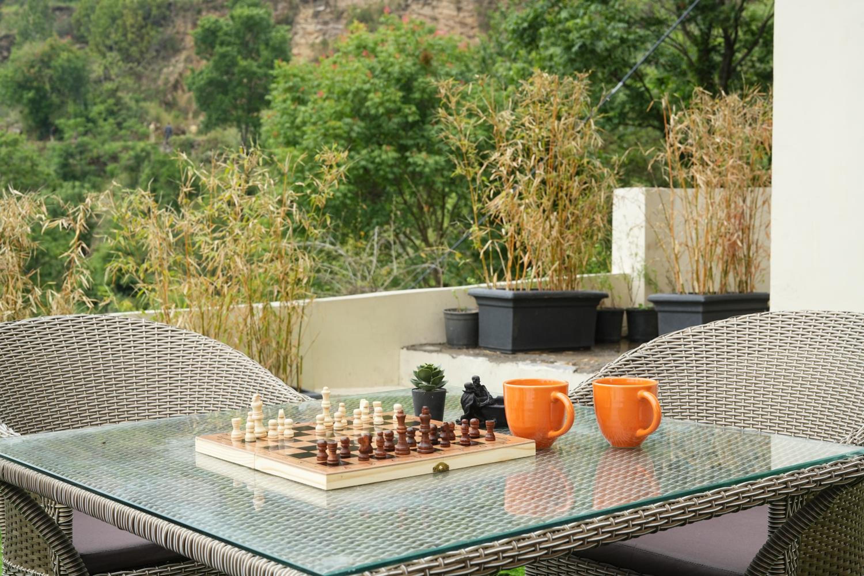 balance & terrace