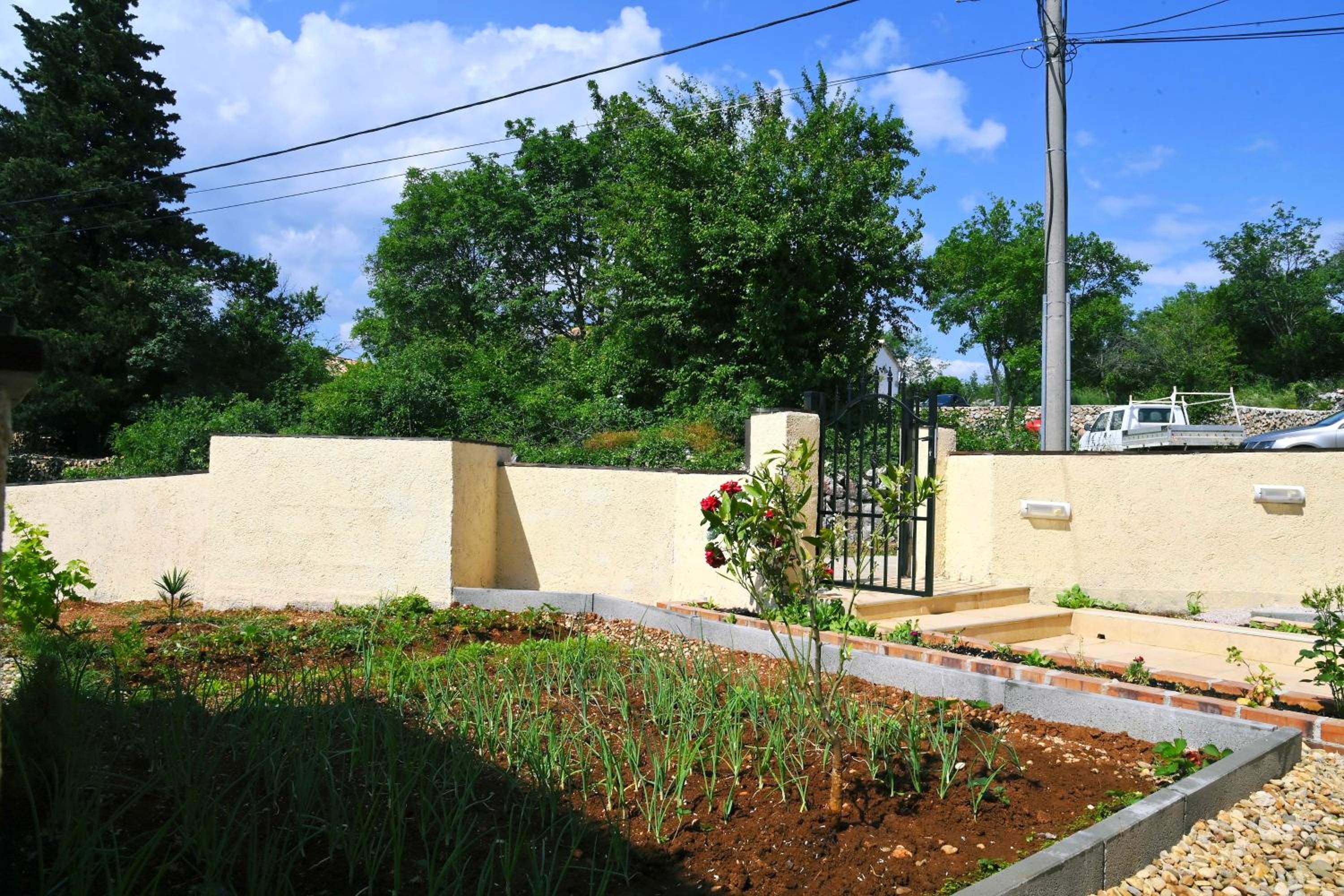 Photo 47