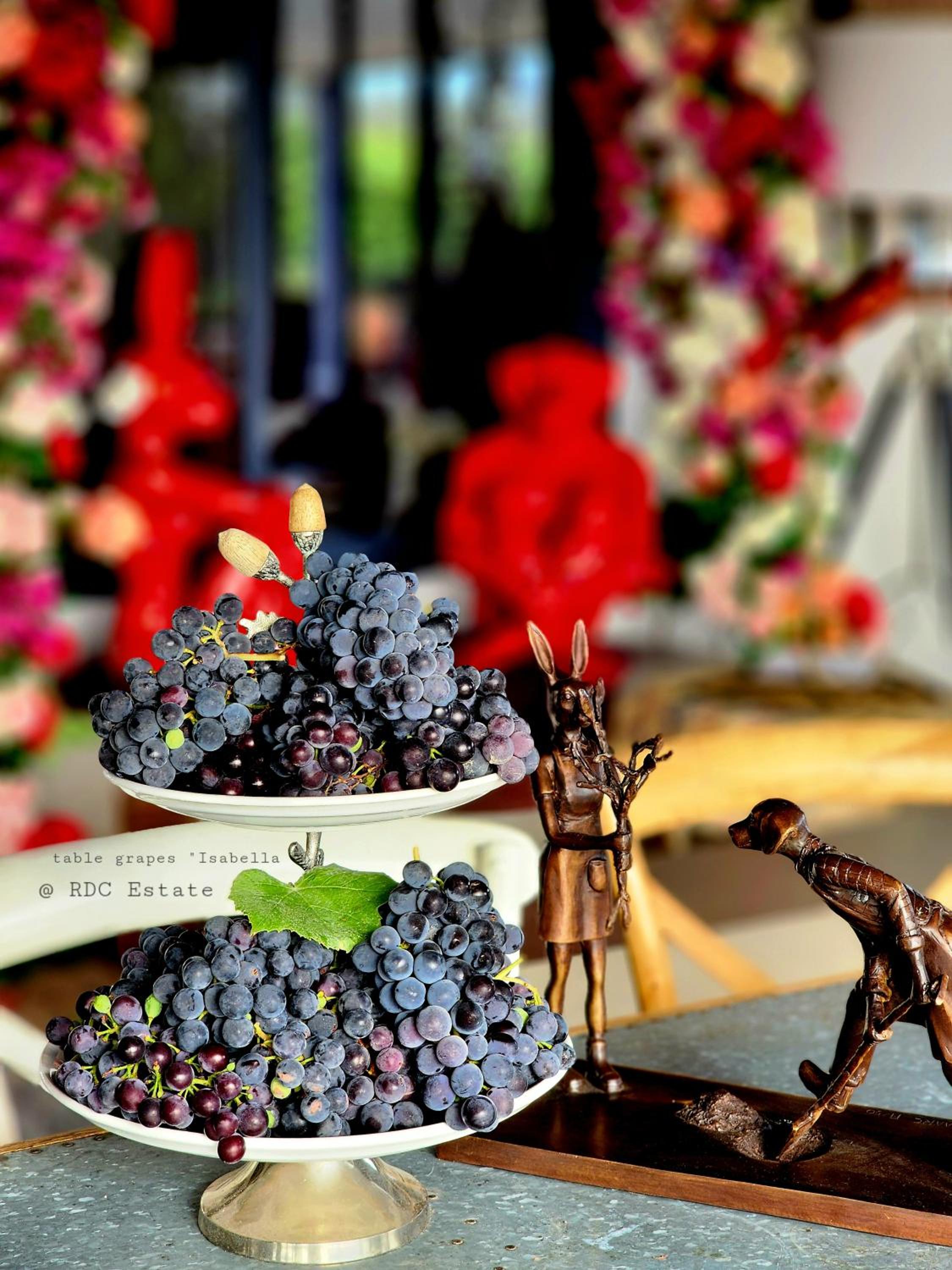 Red Door Collective - RDC Vineyard Estate, Luxury Adult Only Stay