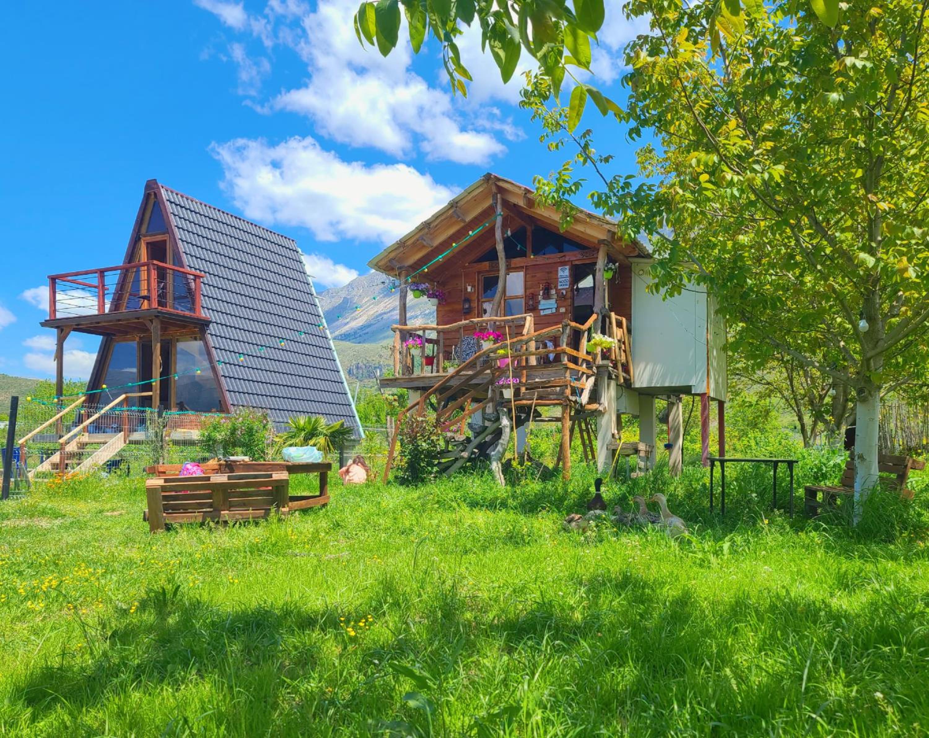 Life on the farm