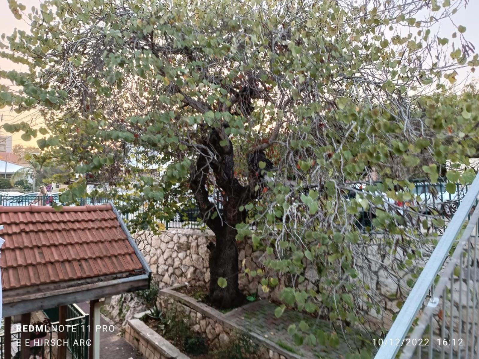 Photo 20