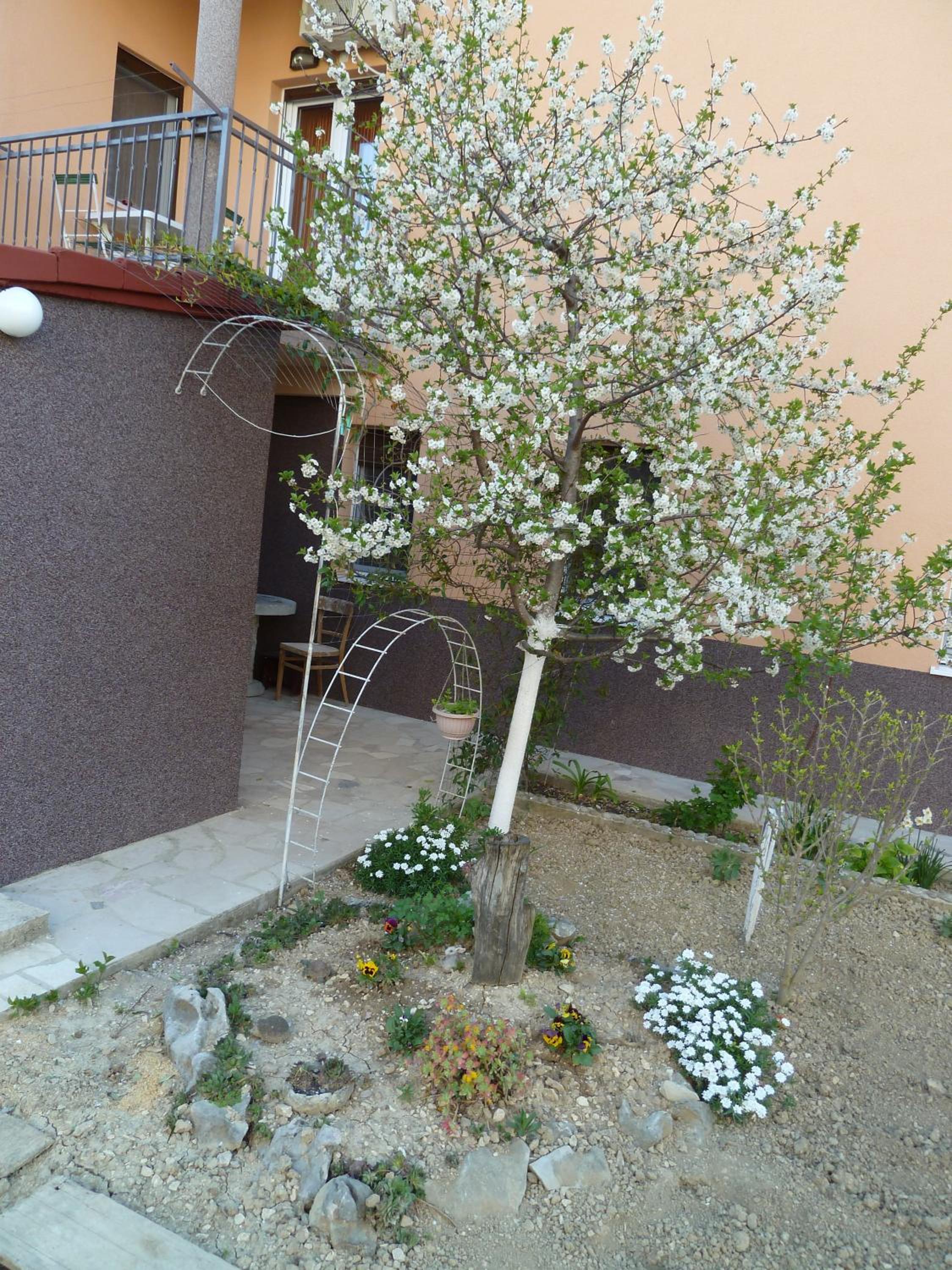 Apartments Nela