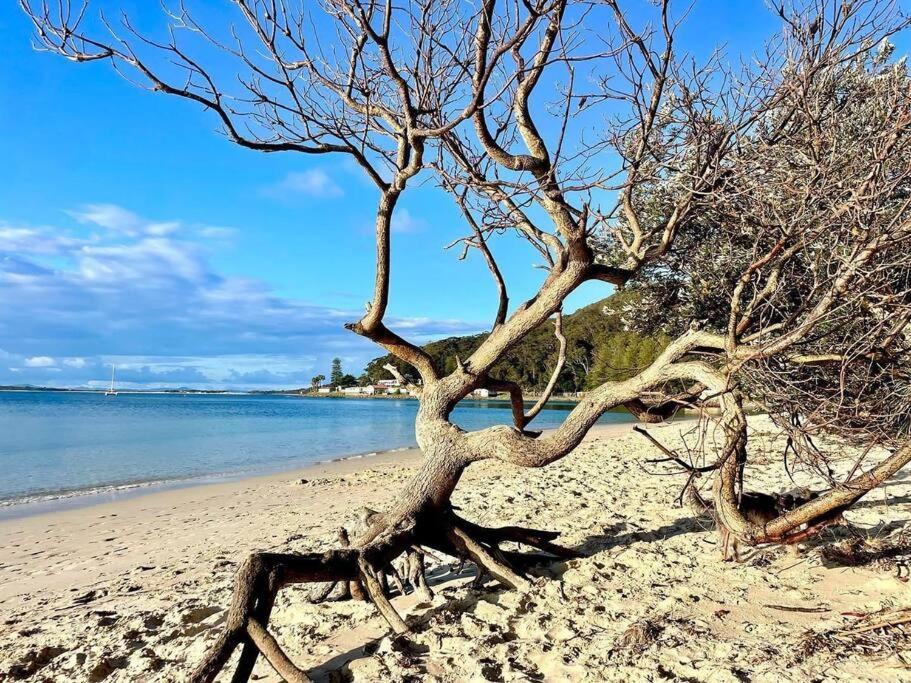 MikaLex - Walking distance from the beach!