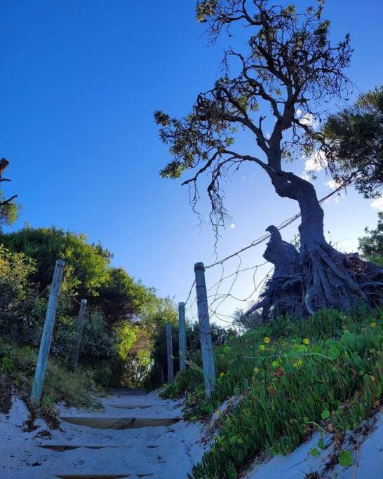 MikaLex - Walking distance from the beach!