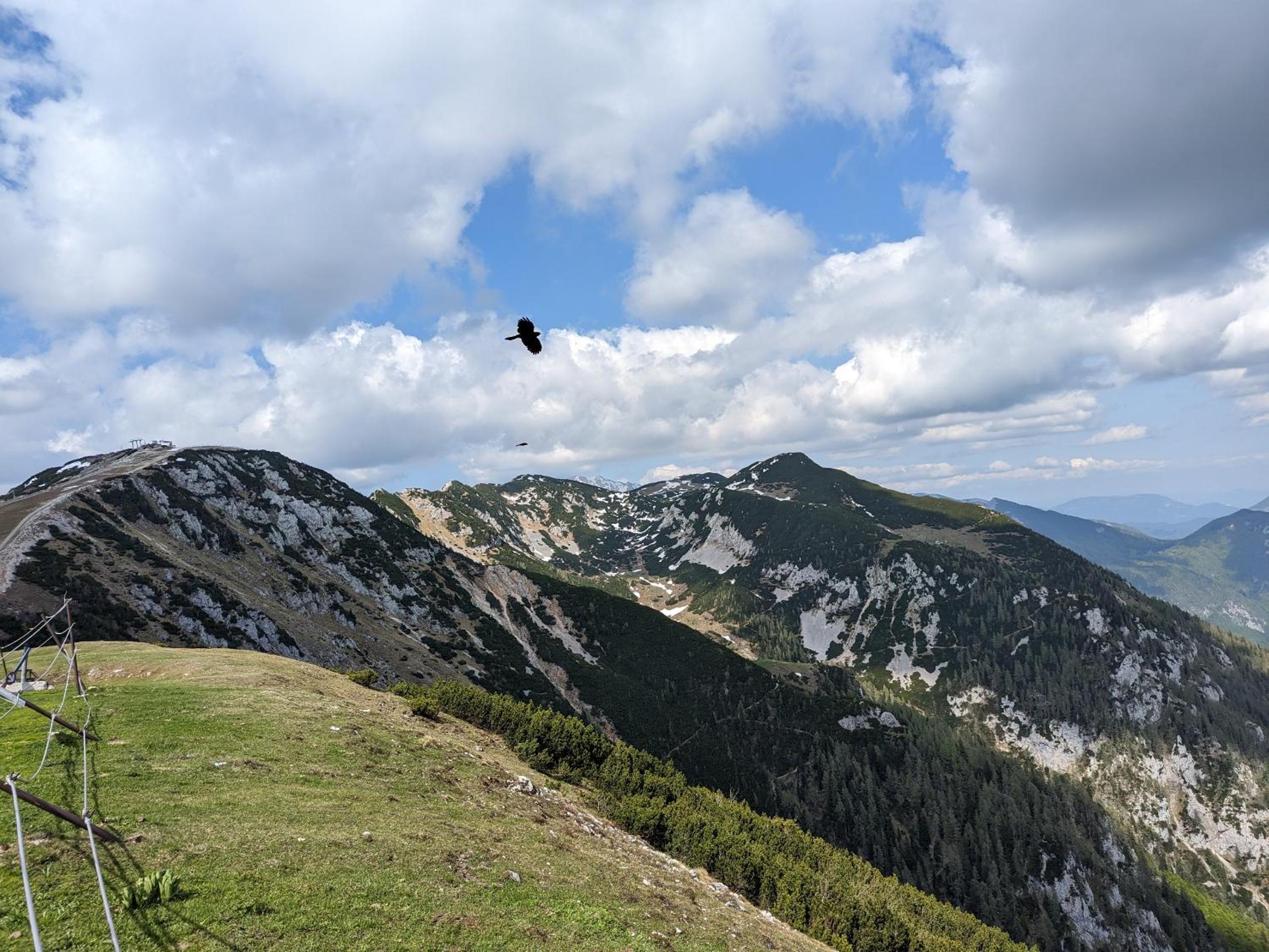 Photo 25