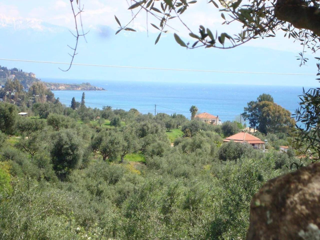 Villa Carisma