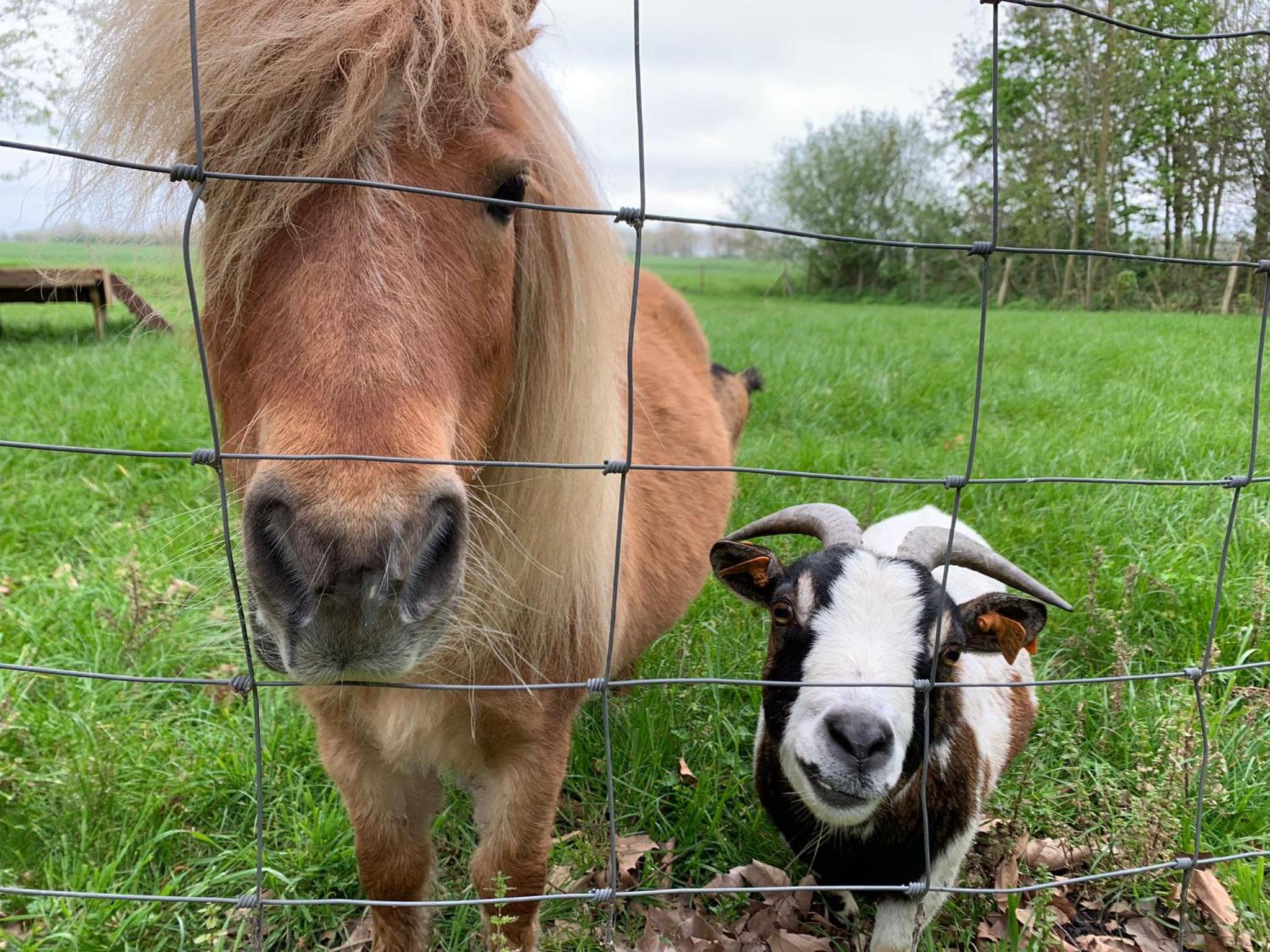 De Scheure, charmant vakantiehuisje midden in de natuur