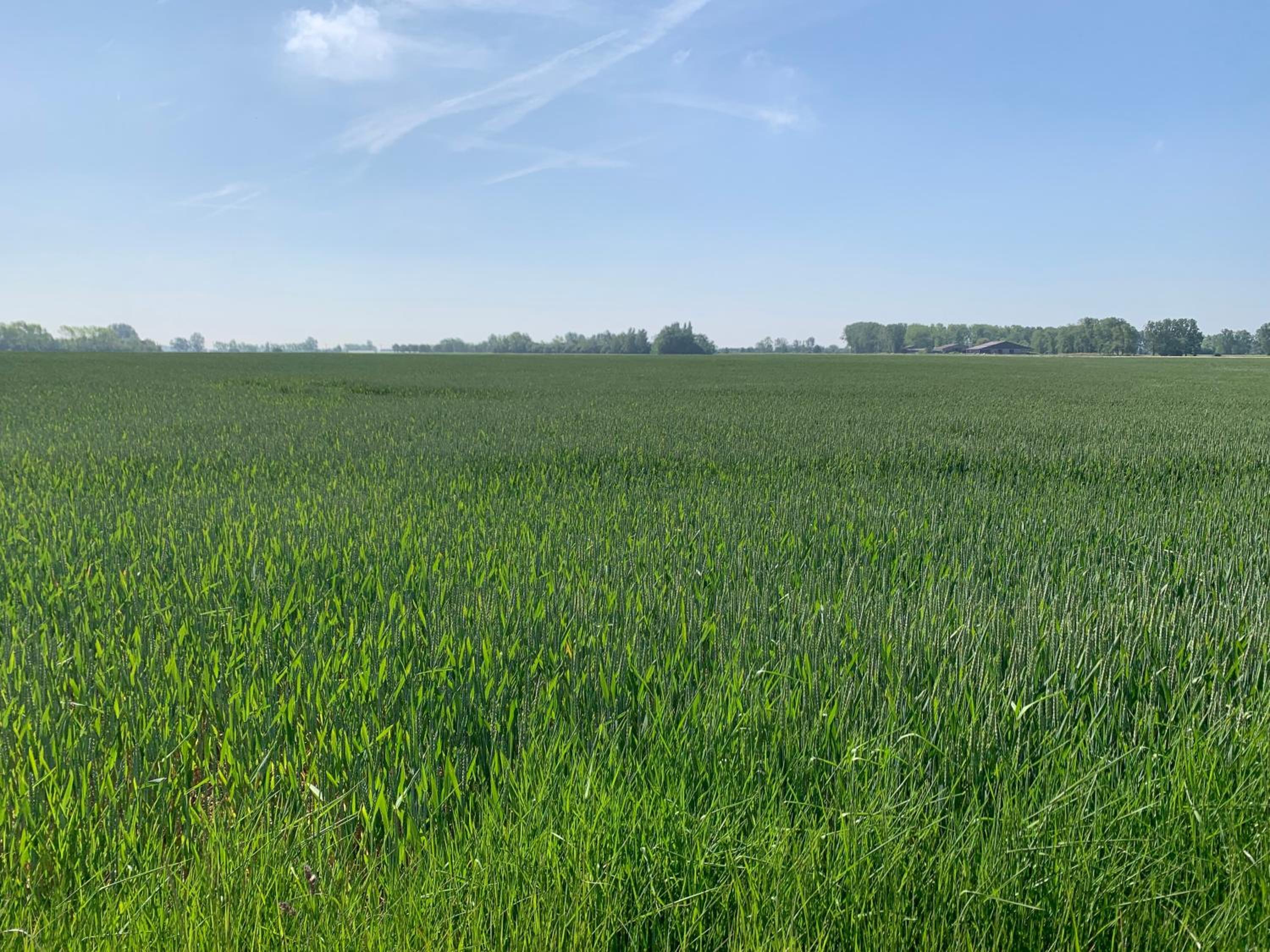 De Scheure, charmant vakantiehuisje midden in de natuur